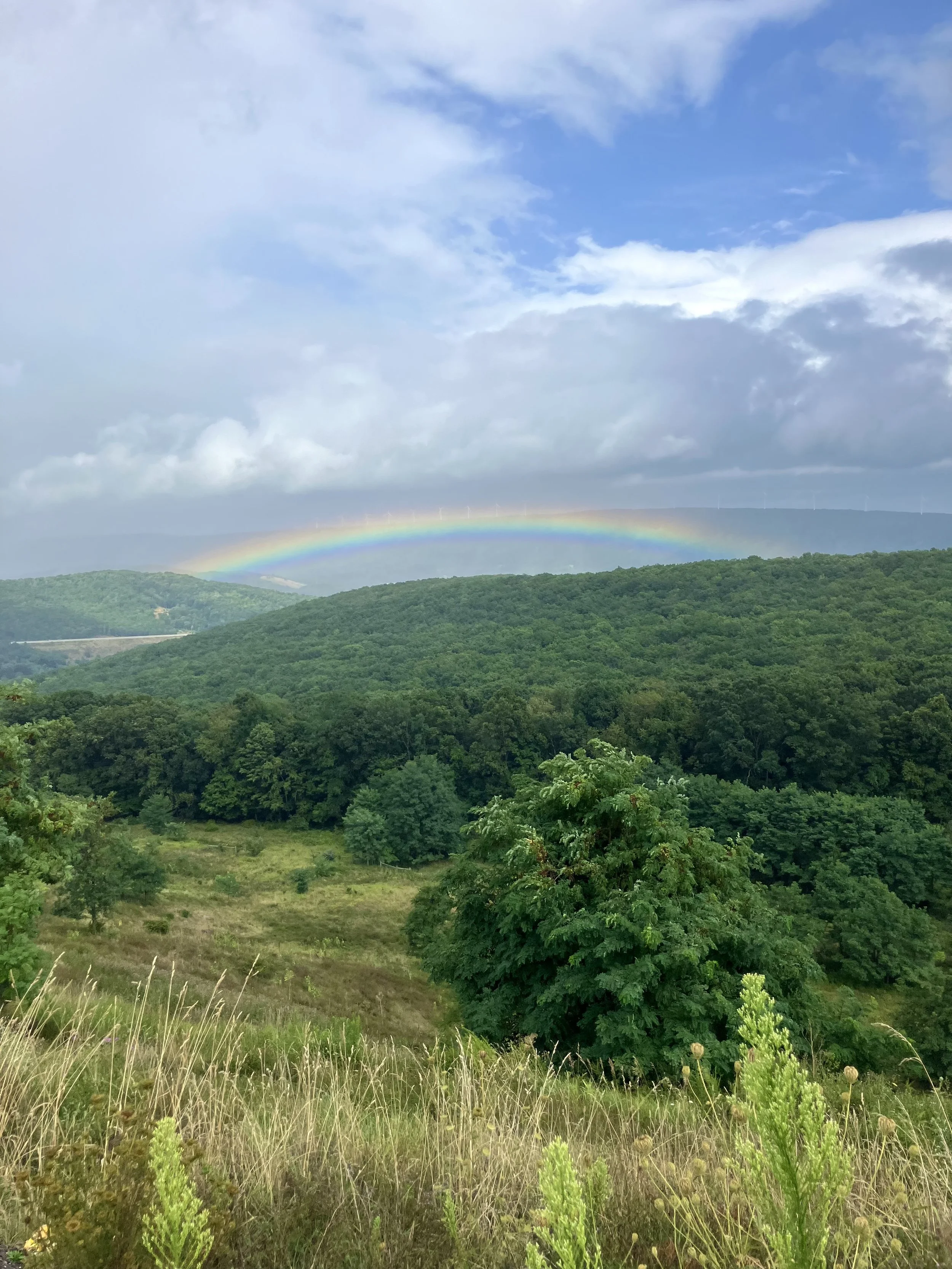 IMG_0388 - TJ Rexrode.jpeg