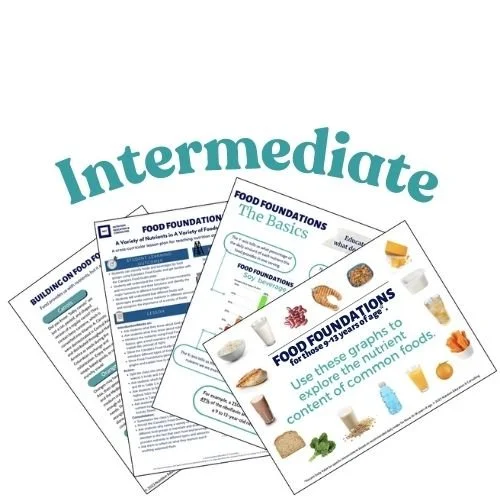 Intermediate: Food Foundations Nutrient Graph Bundle — Reimagine ...