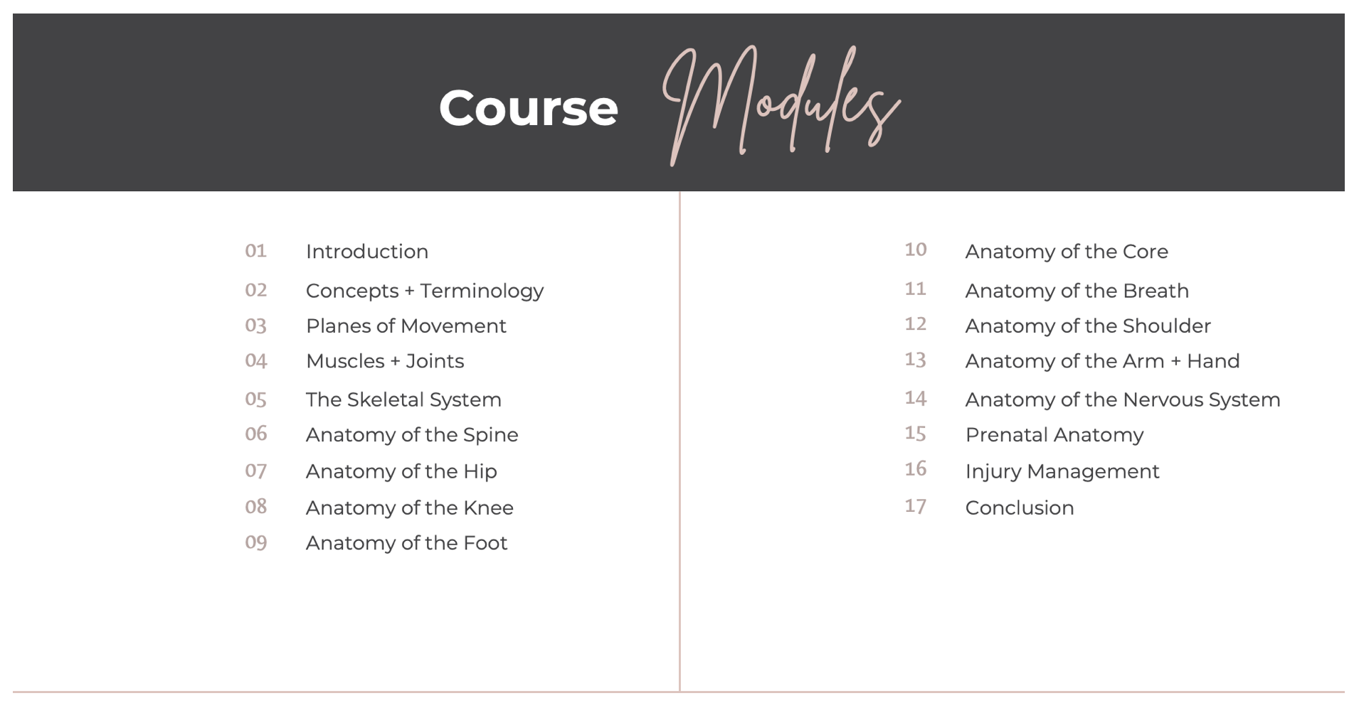 Online Anatomy Course — Erica Blitz Yoga