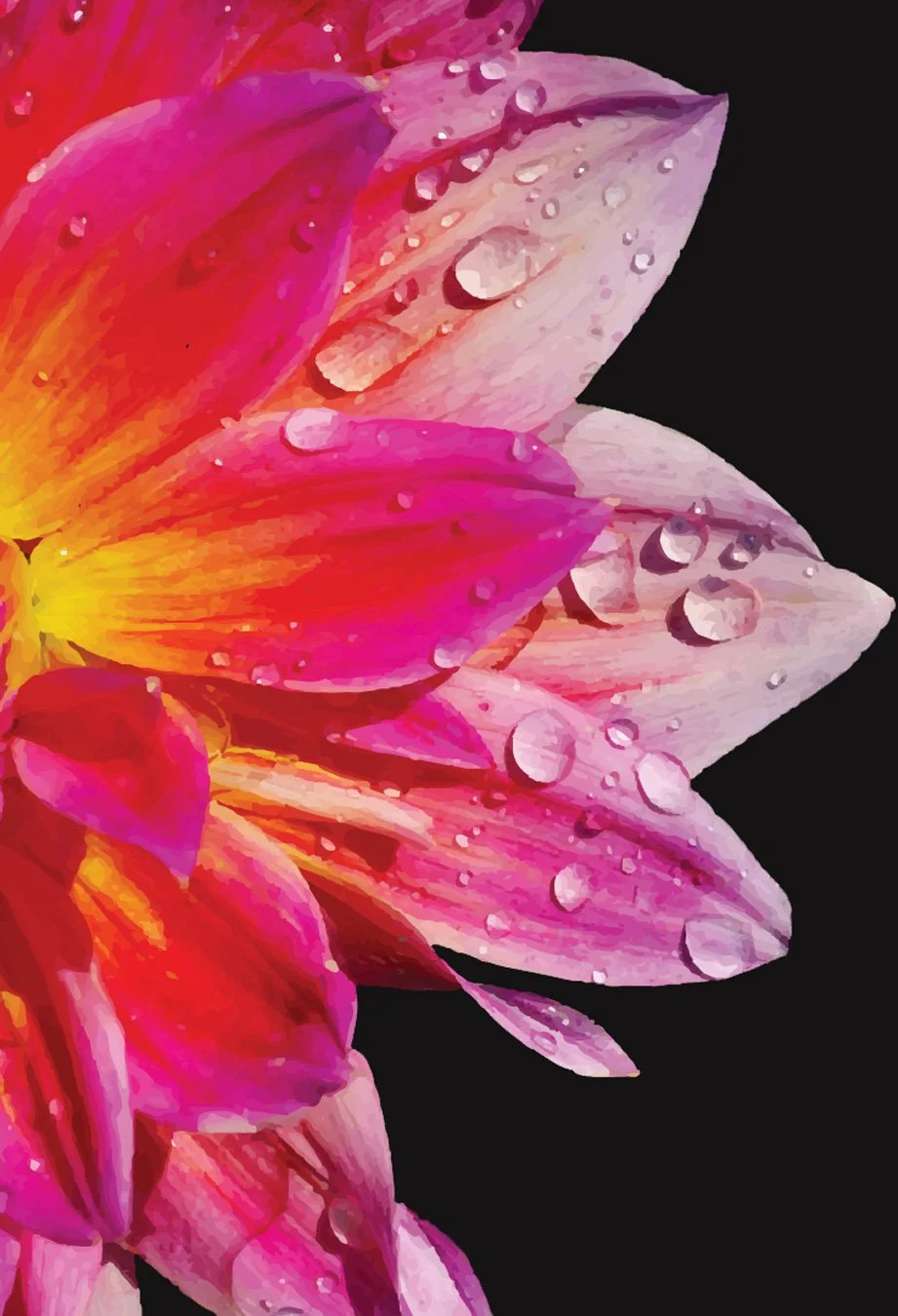 Flower_BG_2.jpg