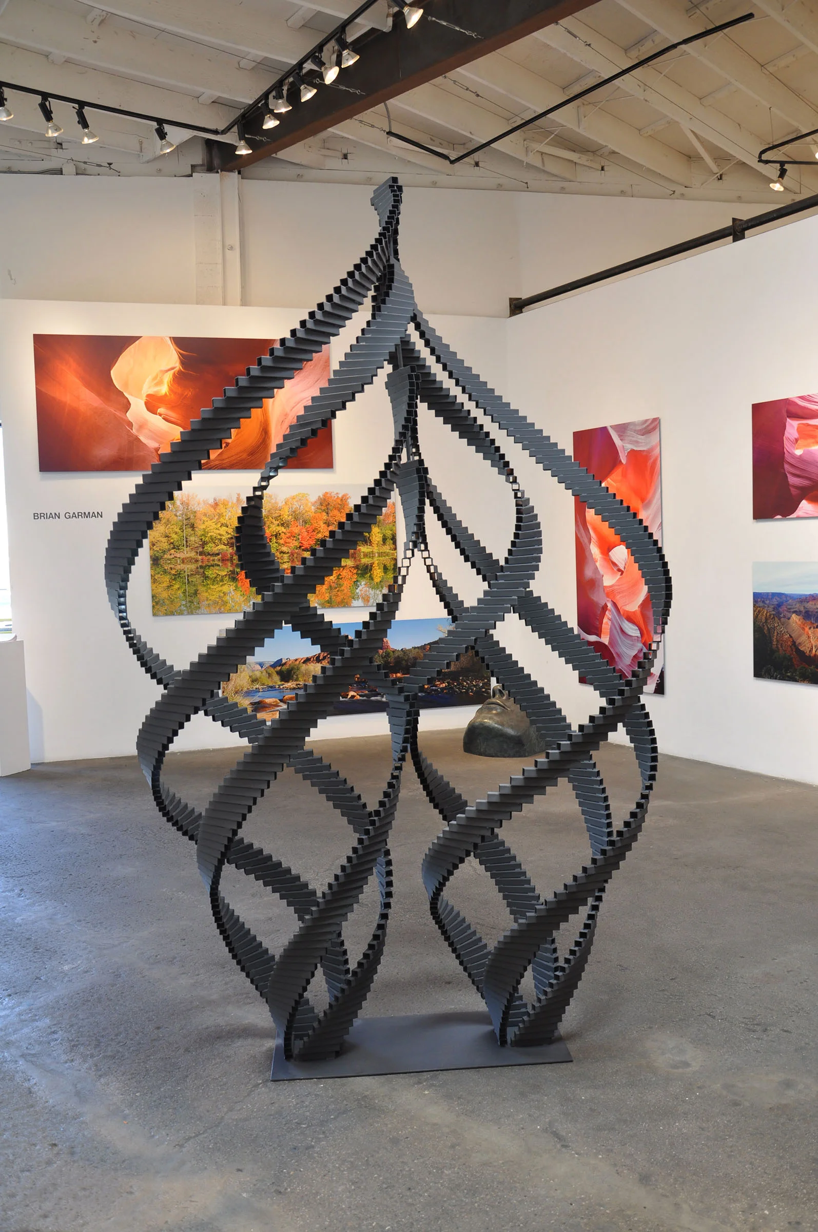 Lotus Flower2.jpg