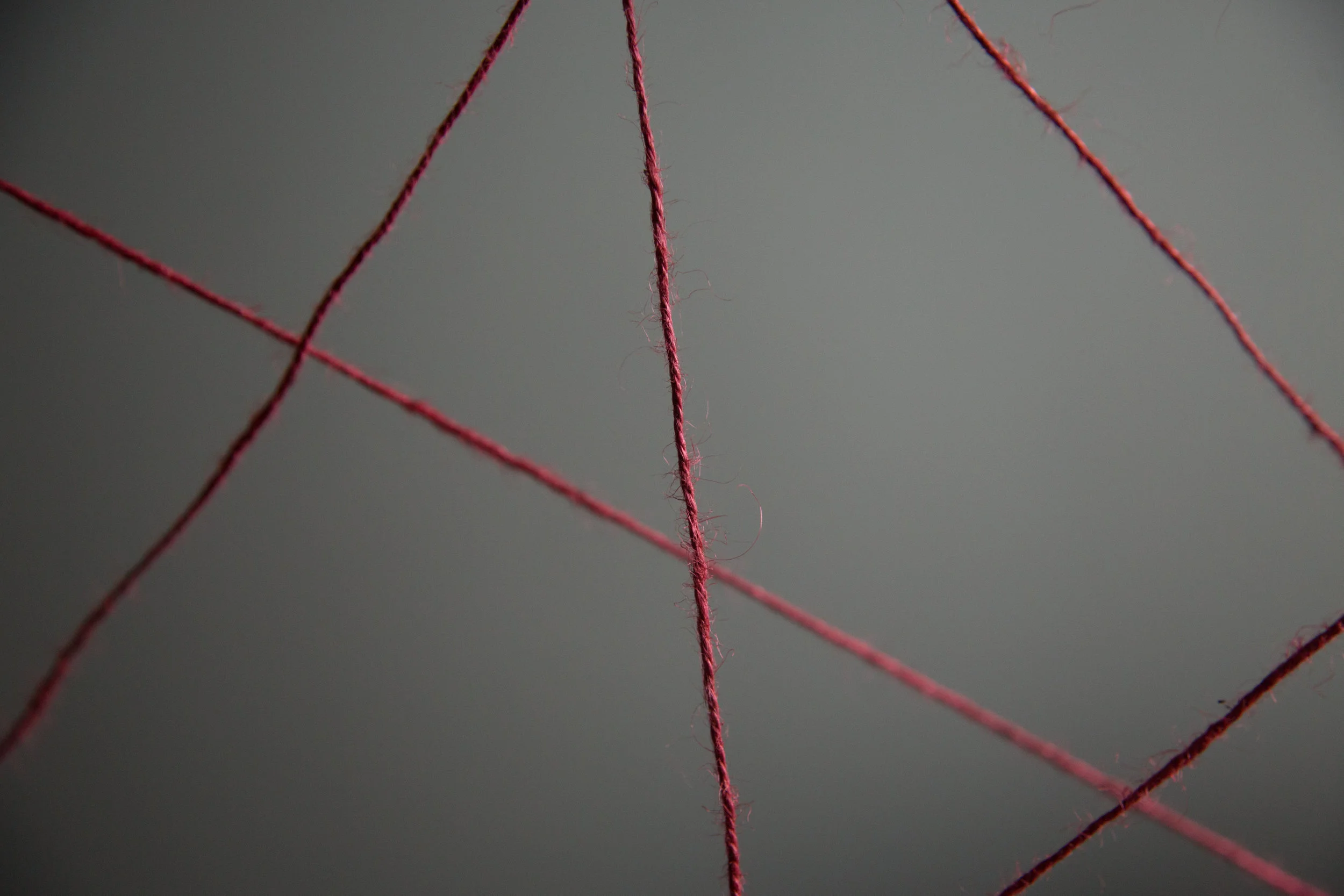 Knots-1724.jpg