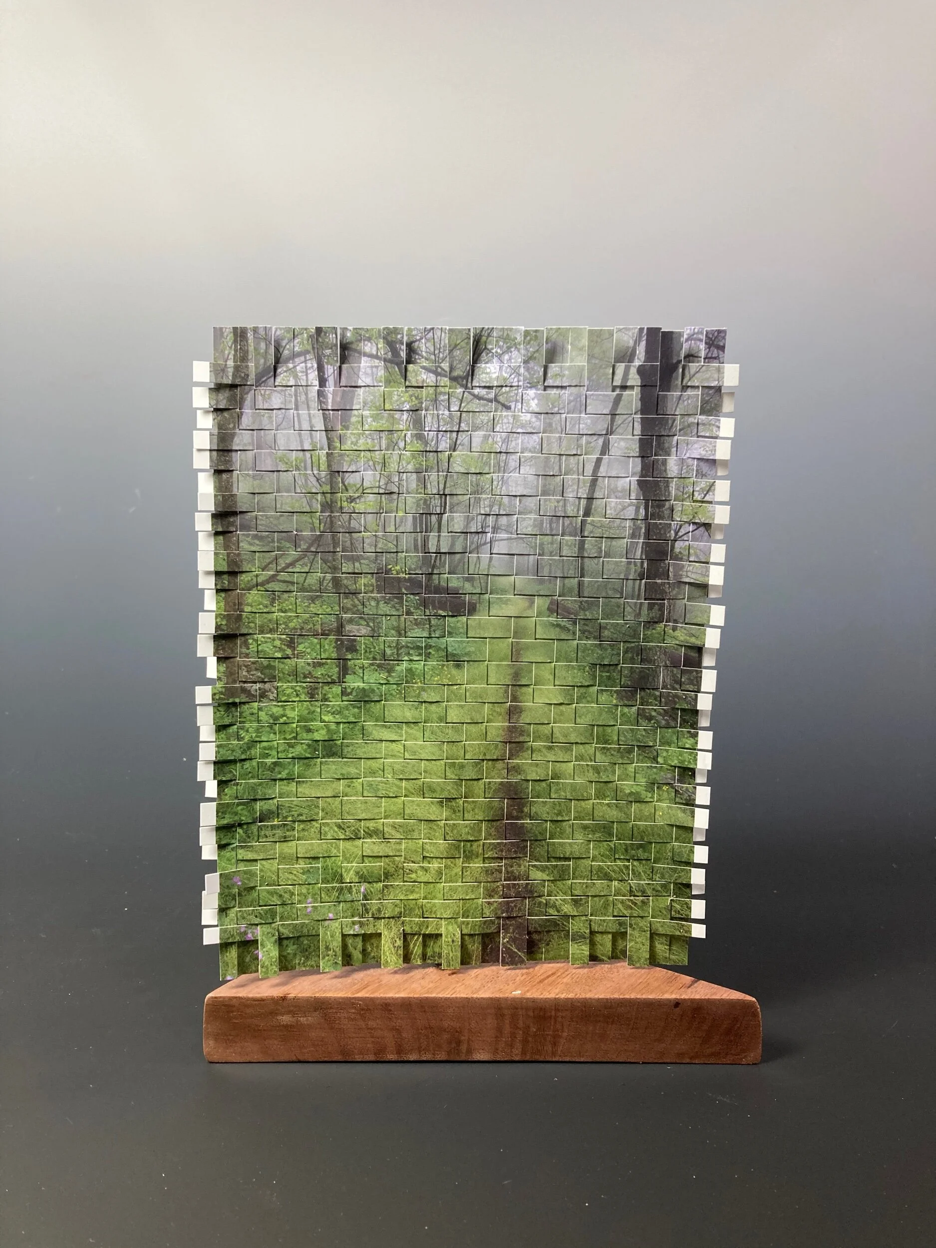 EC8DE265-1FF2-4300-B919-C2A4E5C947FA