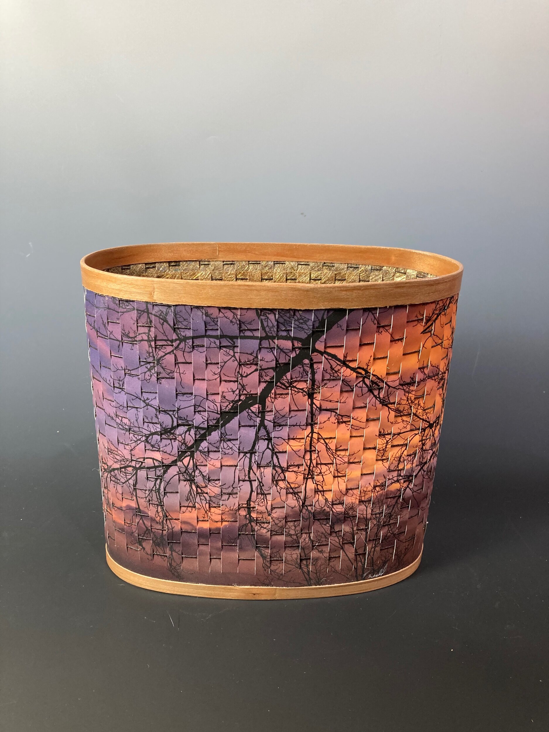 2A0EE6A2-B1B4-48DB-9D03-86B8CC70A4E6