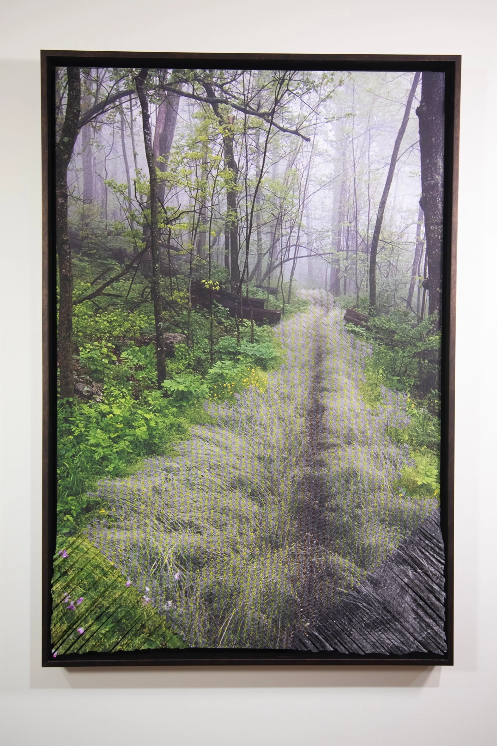 FCAE7E75-8E48-4ED7-BC45-2D04F5C8BA65