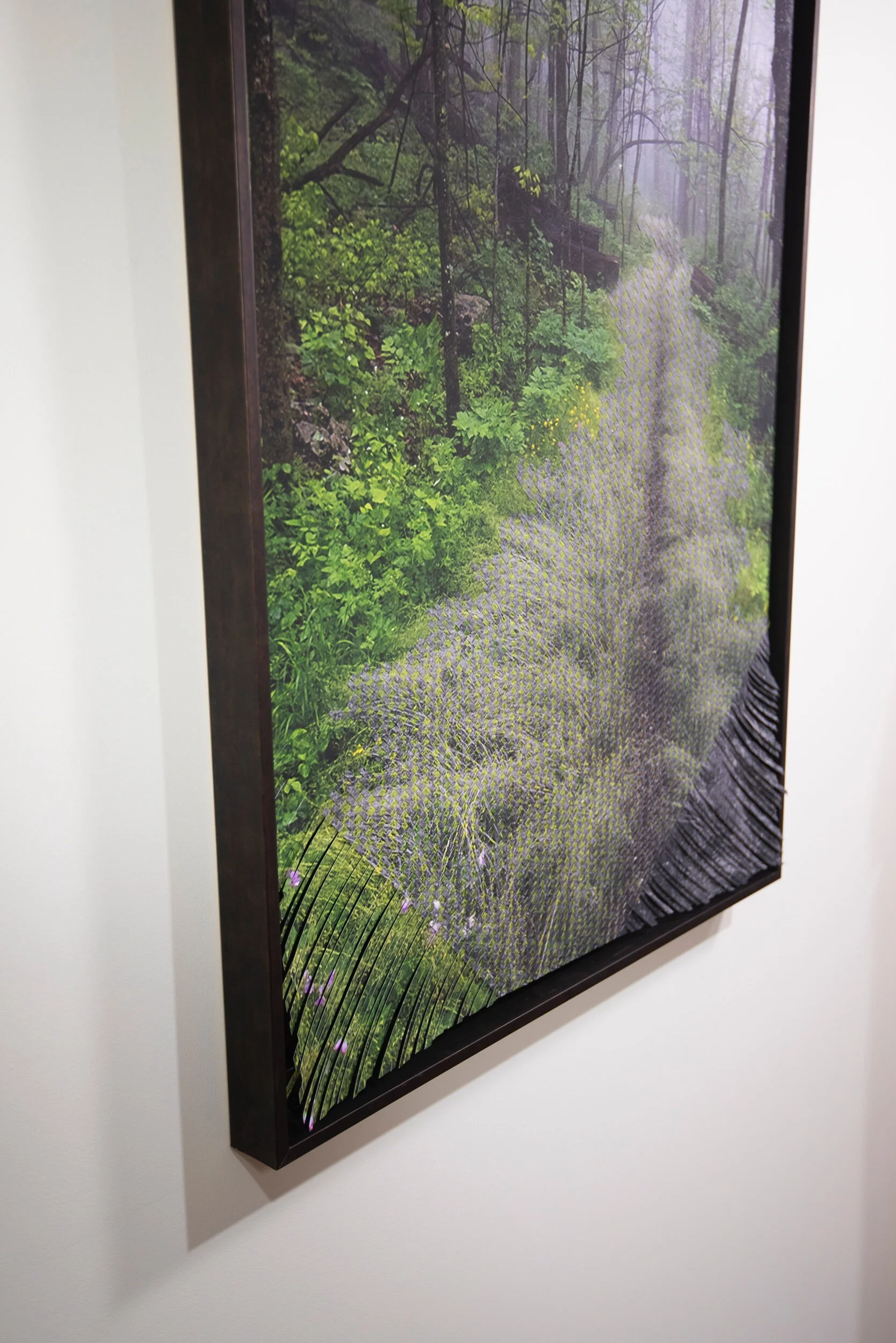 1ED18F7A-9553-4C3B-95B7-AD1476EFE791