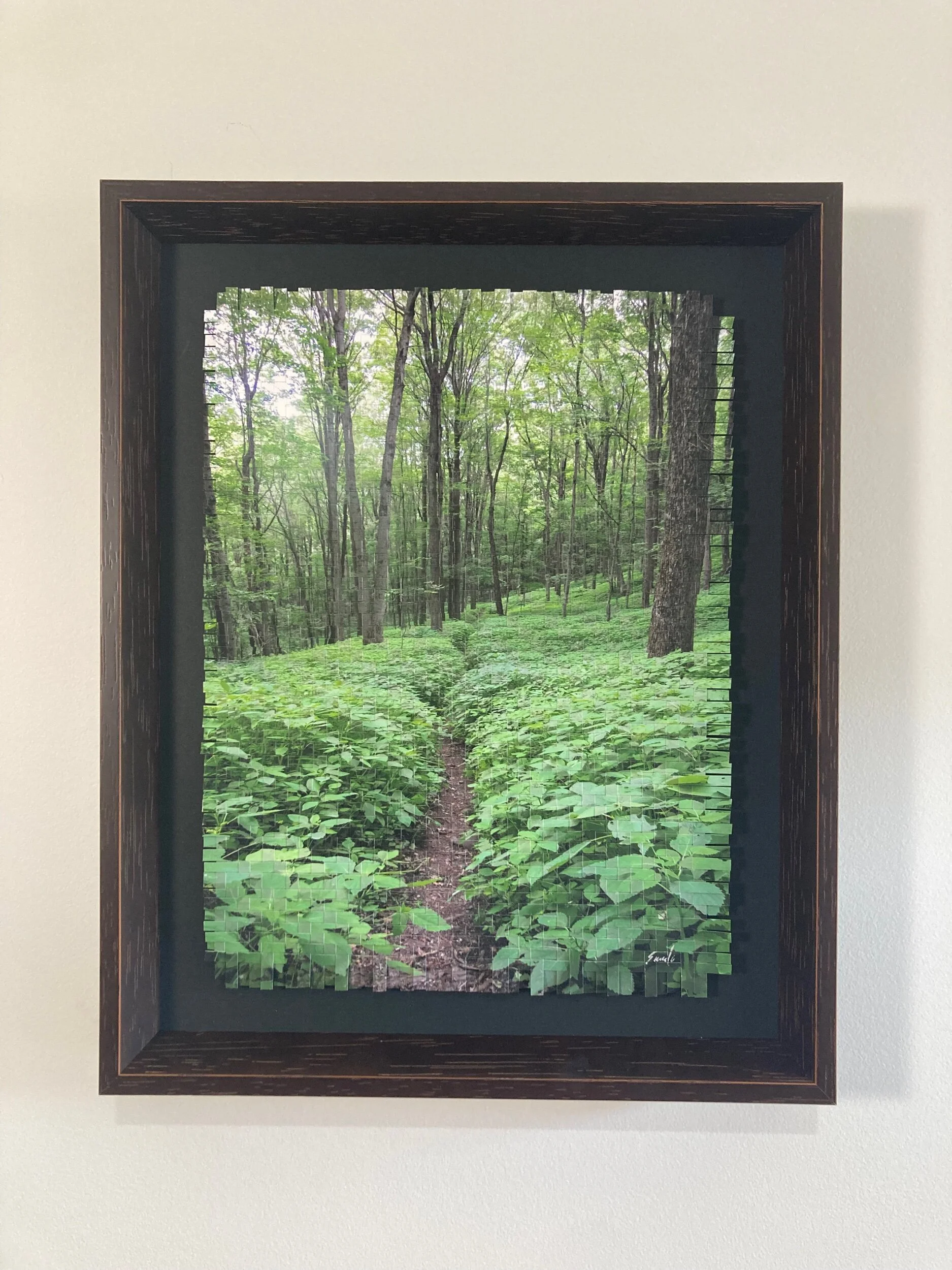 C643F9B6-9713-411F-8751-F4CEDFE6C0D4