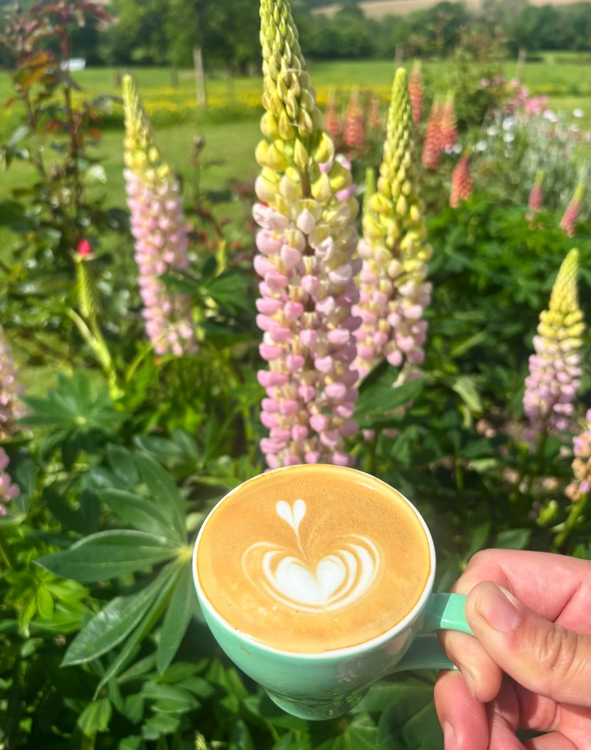 Flatties &amp; flowers at ours 🌸

Open this weekend for brunch on Saturday &amp; Sunday Roast! Get in touch to book a table ☕️ 

#farmcafe #devonfood