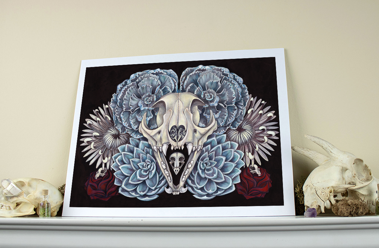 Fireworks 11x14 Paper Print - Shelf 3.png