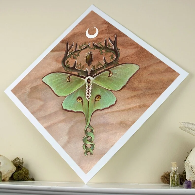 Ancestor Moth Prints