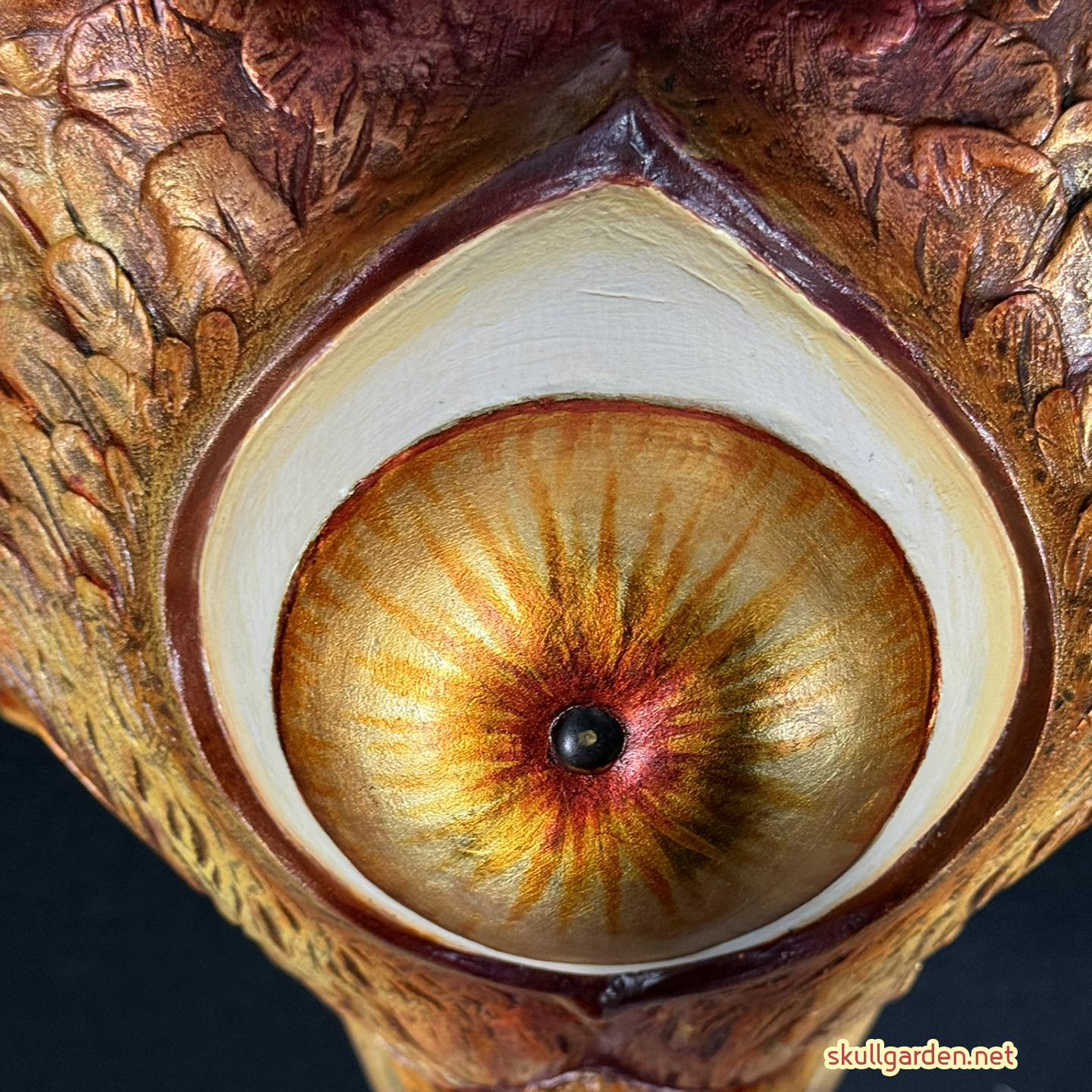 Phoenix 04 Top View.png