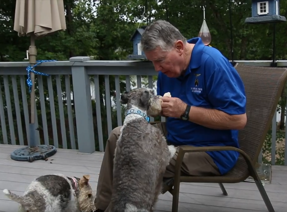 DC Bella Bandit1.PNG