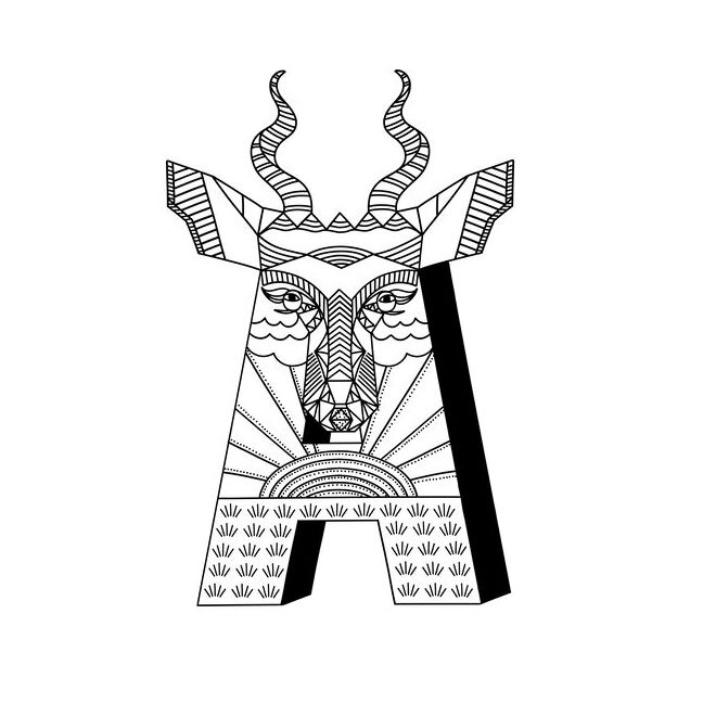 Antelope-A-square.jpg