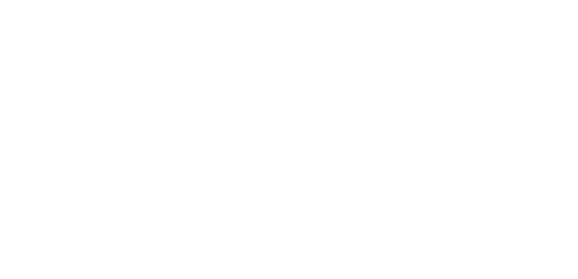 05 - Co-Impact_Logo_White.png