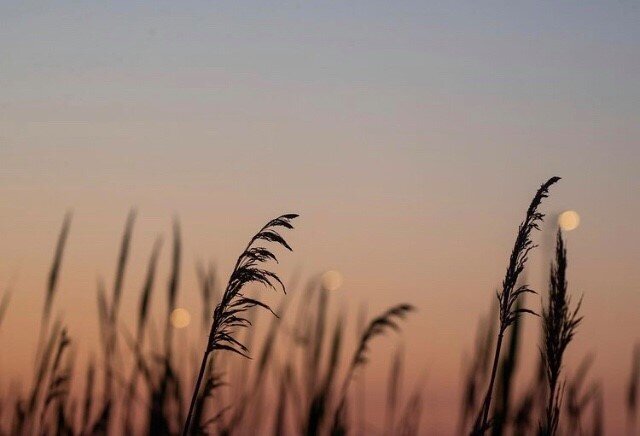 Timeless sea breezes,
sea-wind of the night:
you come for no one;
if someone should wake,
he must be prepared
how to survive you.
-Rainier Maria Rilke
&bull;
Photo: @lifeofrileynyc
&bull;
&bull;
&bull;
#therockaways #oceanvibes #rockawaybeach #oceanp