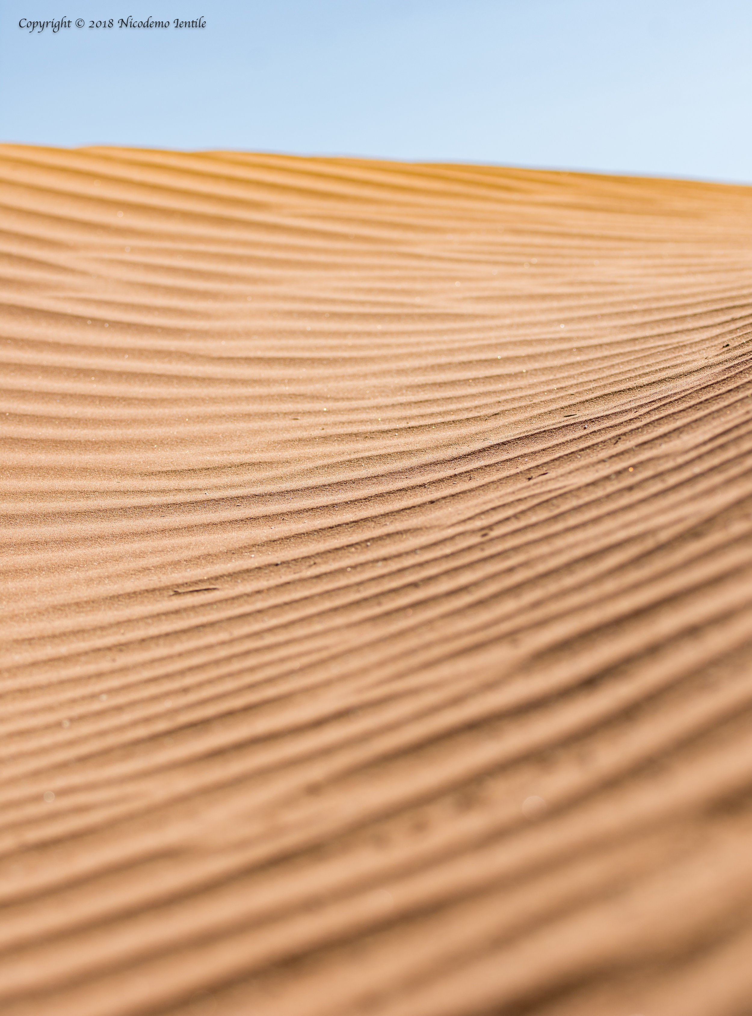 sand ripples.jpg