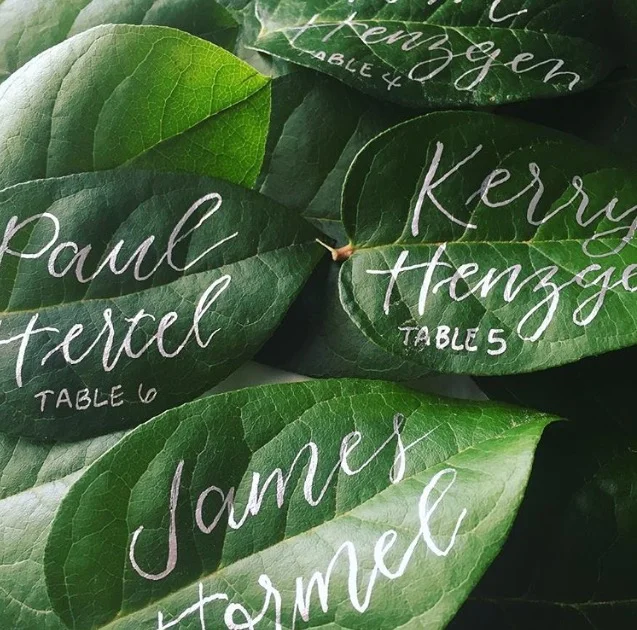 The Learning Centers at Fairplex: Lifelong Learning