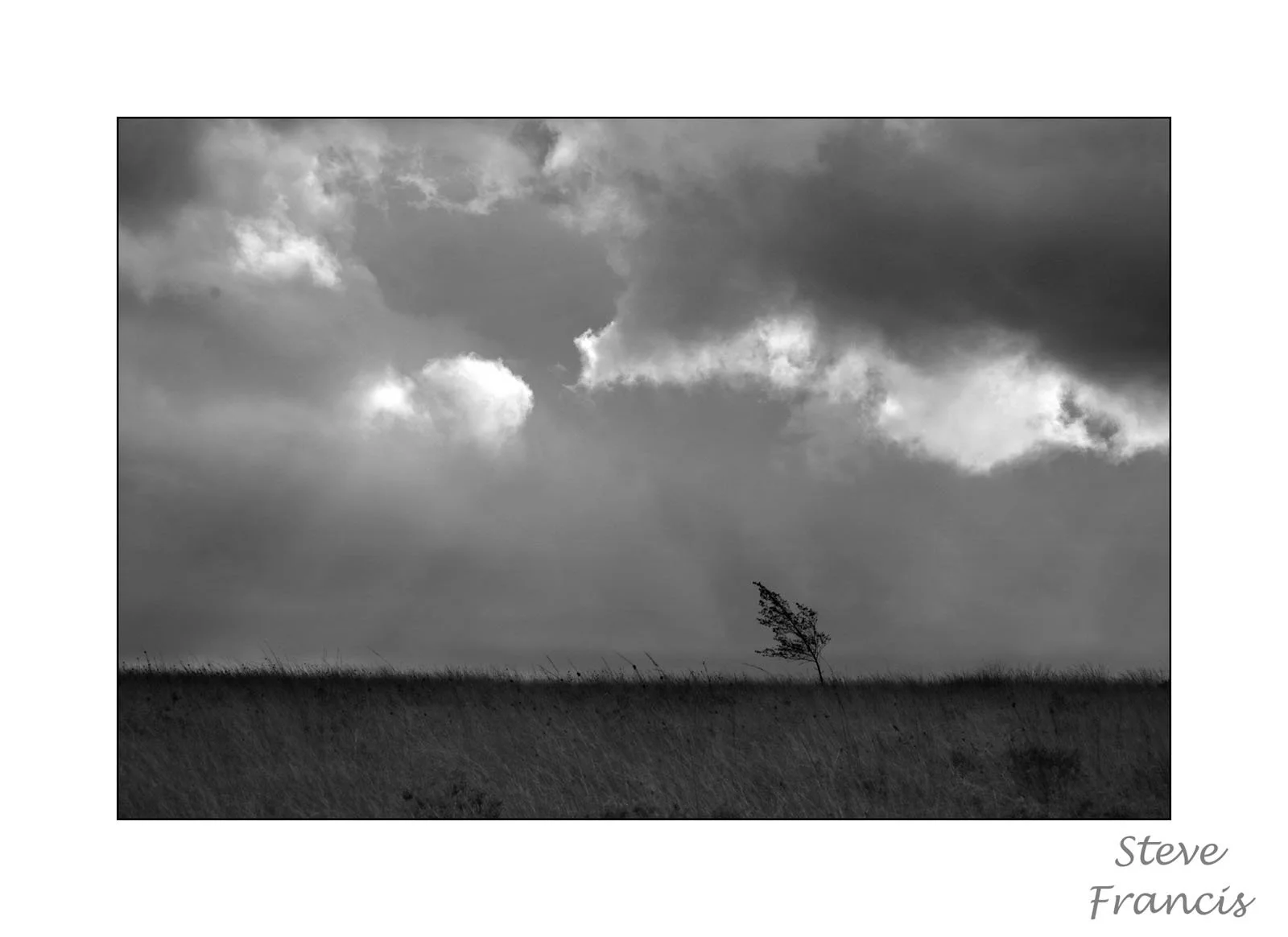 IMG_1264(20250910)-LoneTreeOnGrouseButts.jpg