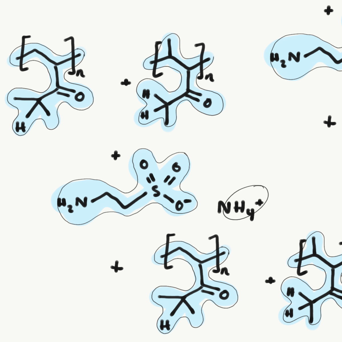 Ammonium polyacryloyldimethyl taurate.png