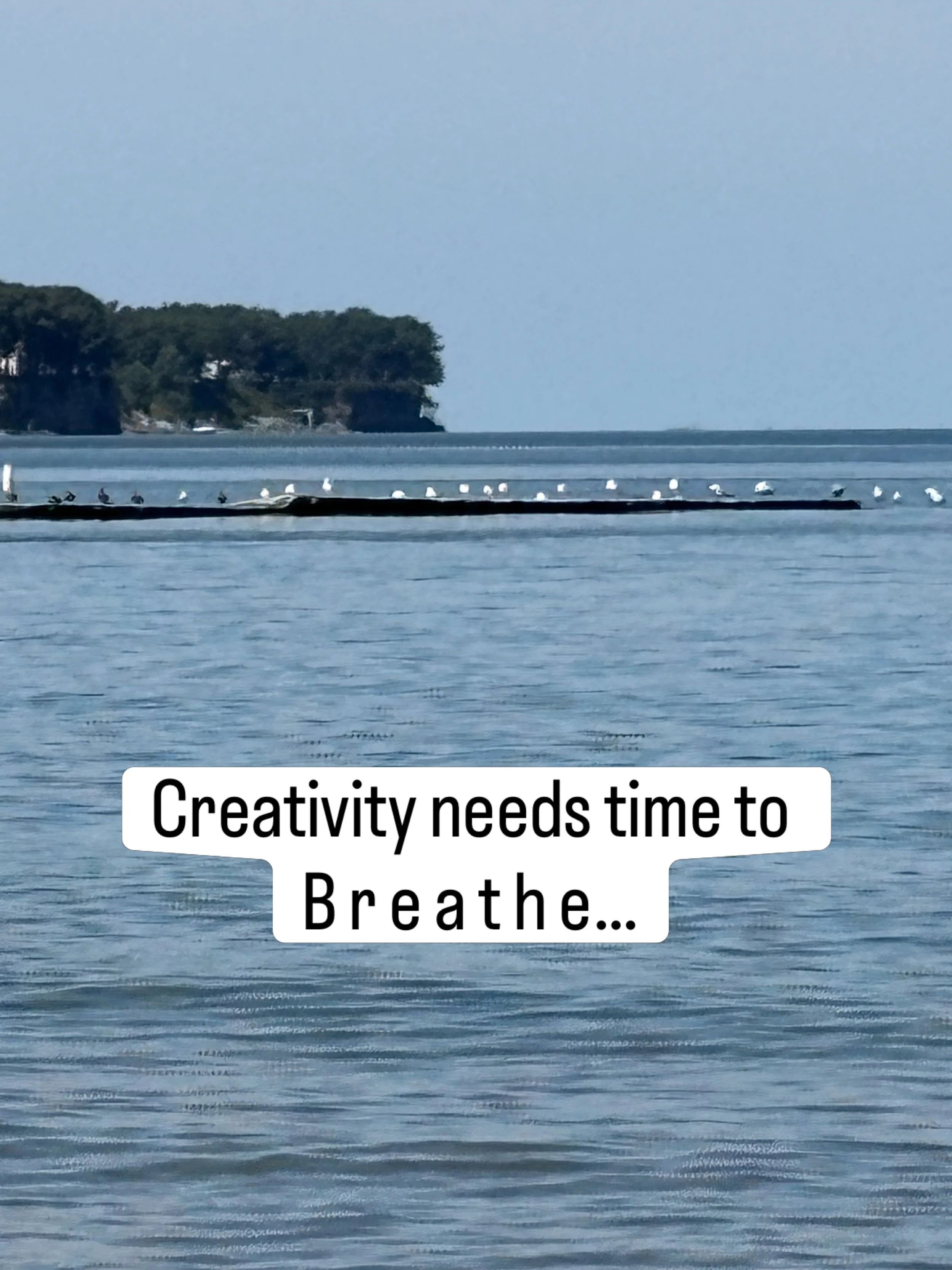CREATIVITY NEEDS TIME TO B R E A T H E

Today I:

Took a nap.

Walked my dog.

Made some food.

Puttered and de-cluttered.

It was enough.

Sigh&hellip;

#MyCreativeReturn #snailmail #CoachForCreatives #CreativeLife