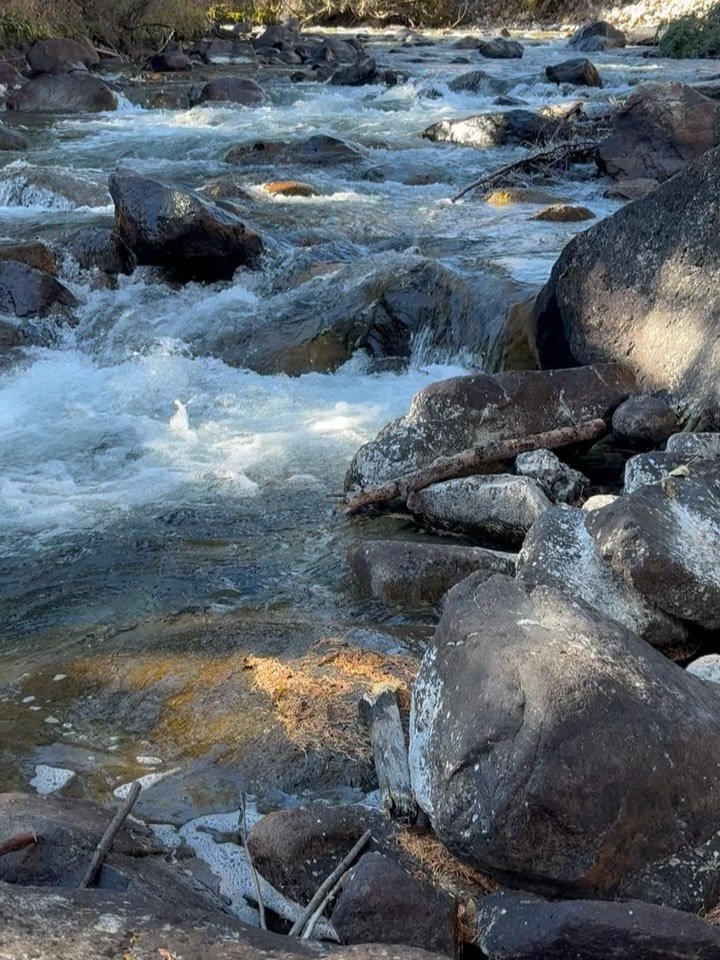 ALIVENESS

Such aliveness in nature today.

Beauty is the backdrop for a visit with a lifelong friend in Montana for a few days.

A few days to connect with myself, with a friend, with life.

Filling the well ❤️
