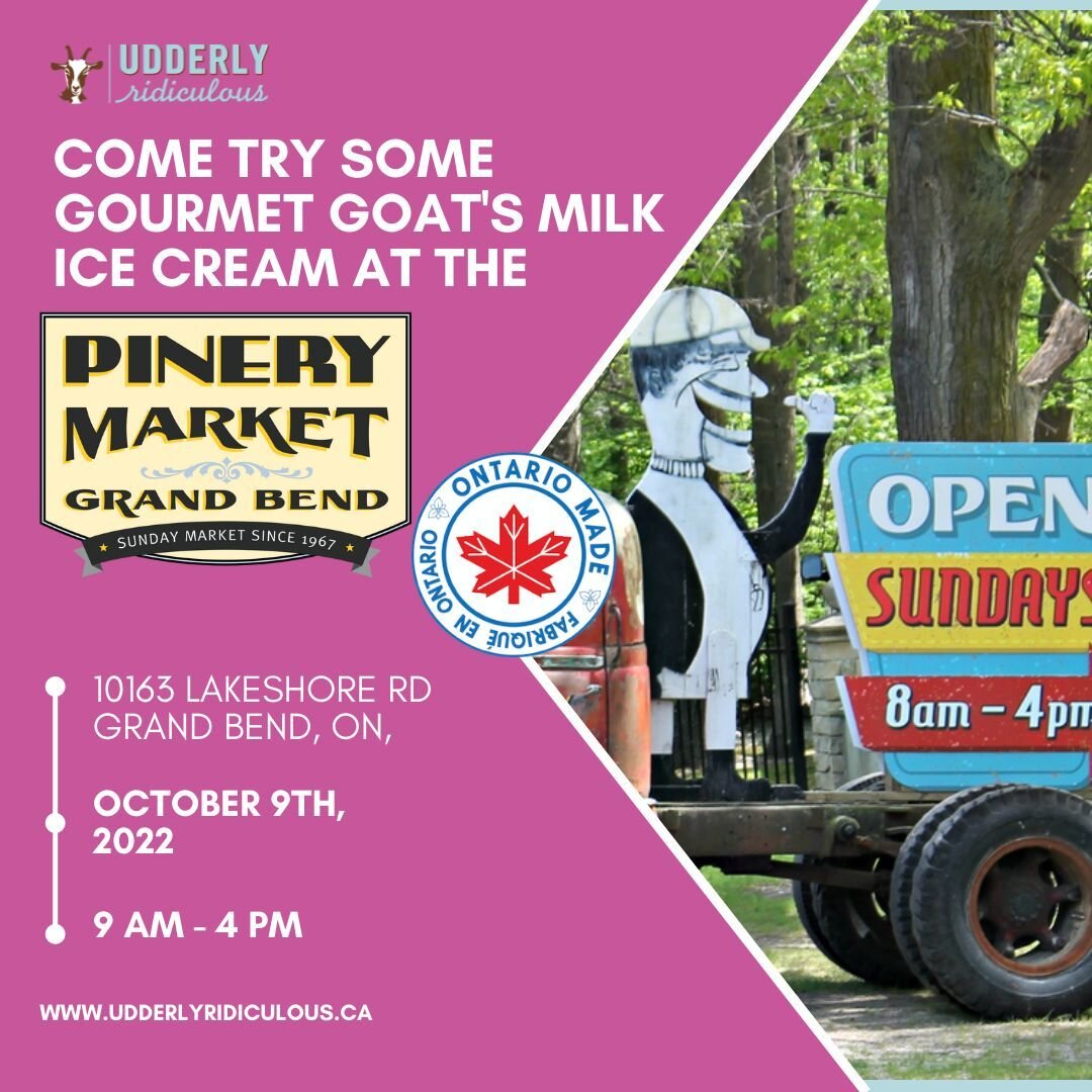 Join us this Sunday at the Pinery Market in Grand Bend! 

The Pinery Market has been a Sunday destination for over 50 years. Located in Grand Bend, a small beach town on Lake Huron, this large market truly has something for everyone!

The Market orig