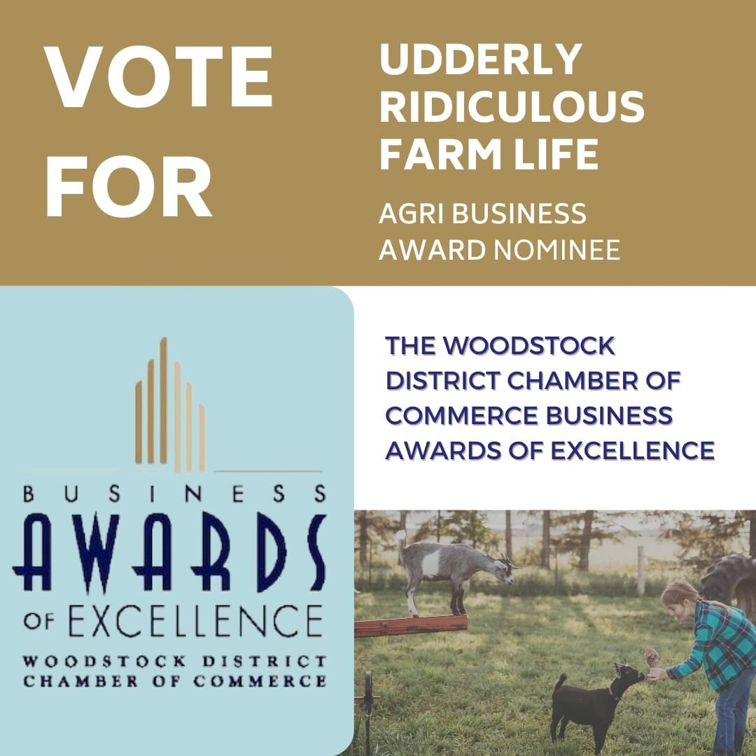 Udderly Ridiculous Farm Life has been nominated and made the top 3 finalists for the Agri-Business Award through the Woodstock Chamber of Commerce! The award recognizes leadership and outstanding achievement within the sector and shows continuous imp