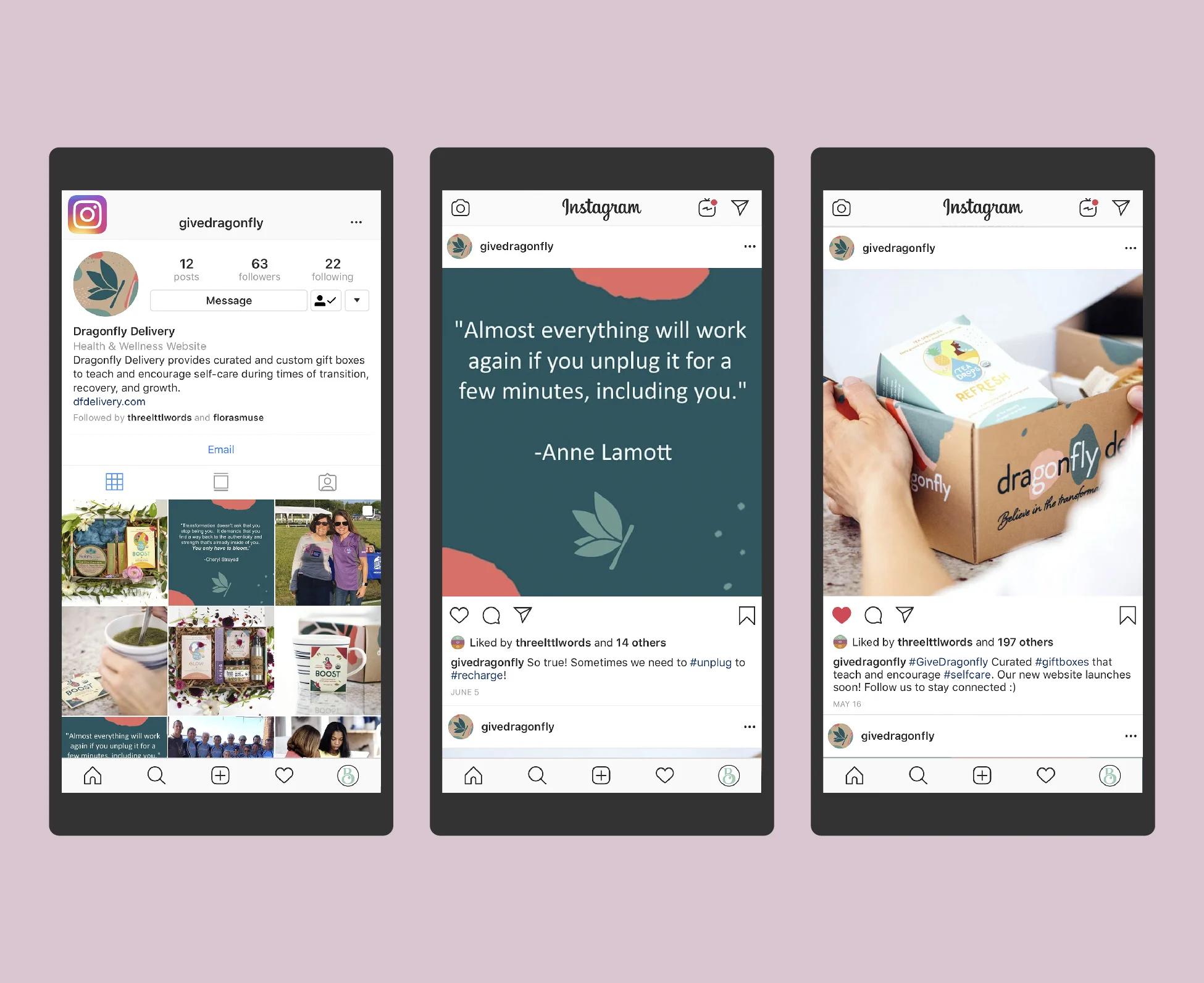 Dragonfly Delivery Instagram Feed Design @givedragonfly