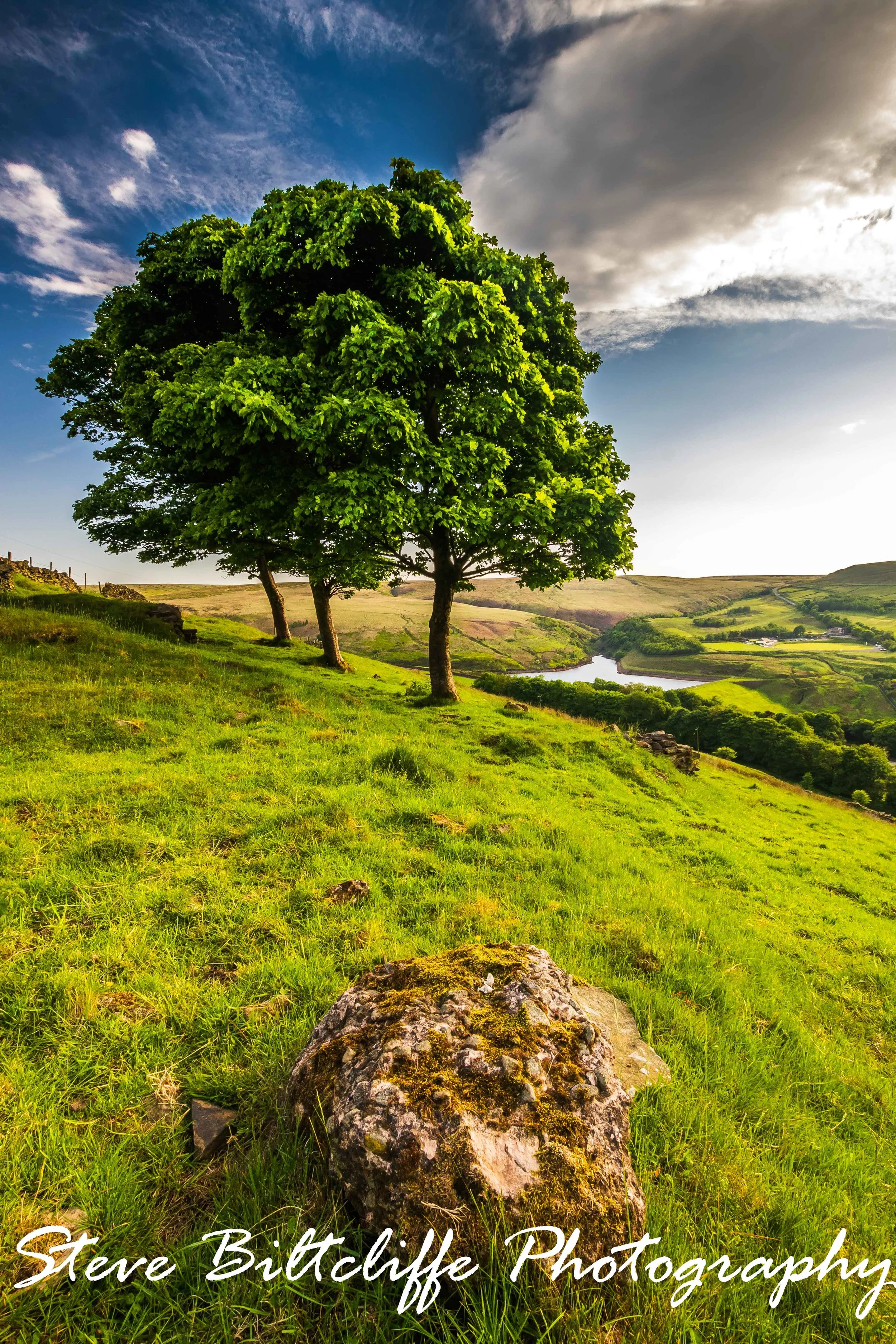 Colne Valley - Three catching the light