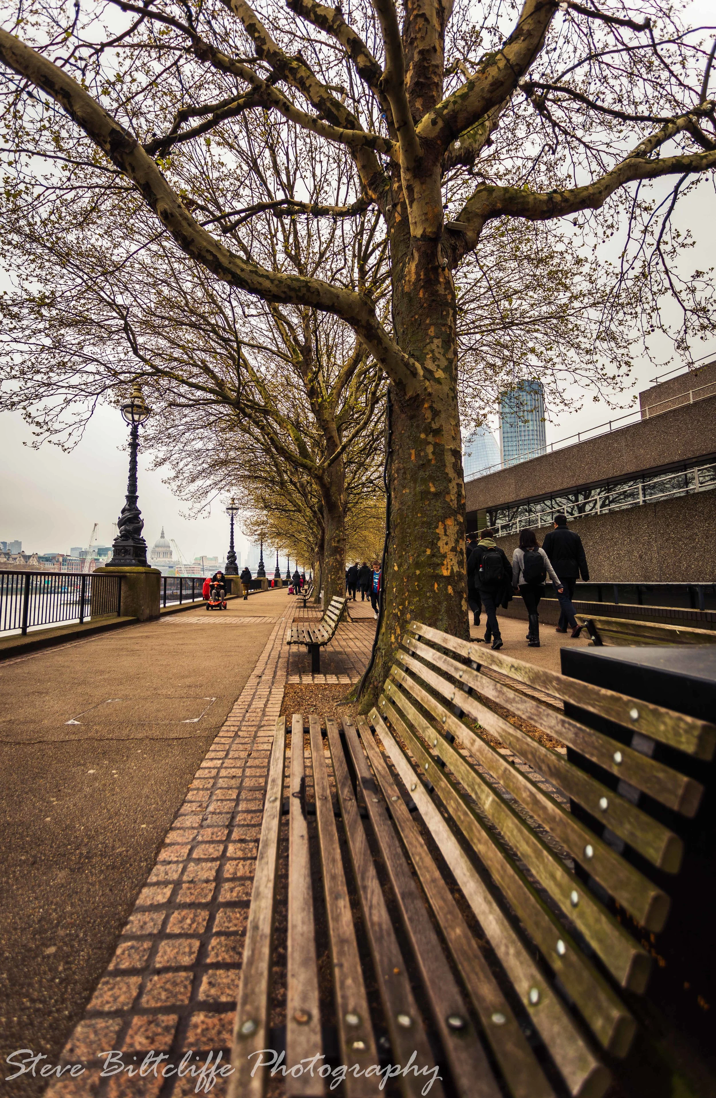 View down the South Bank