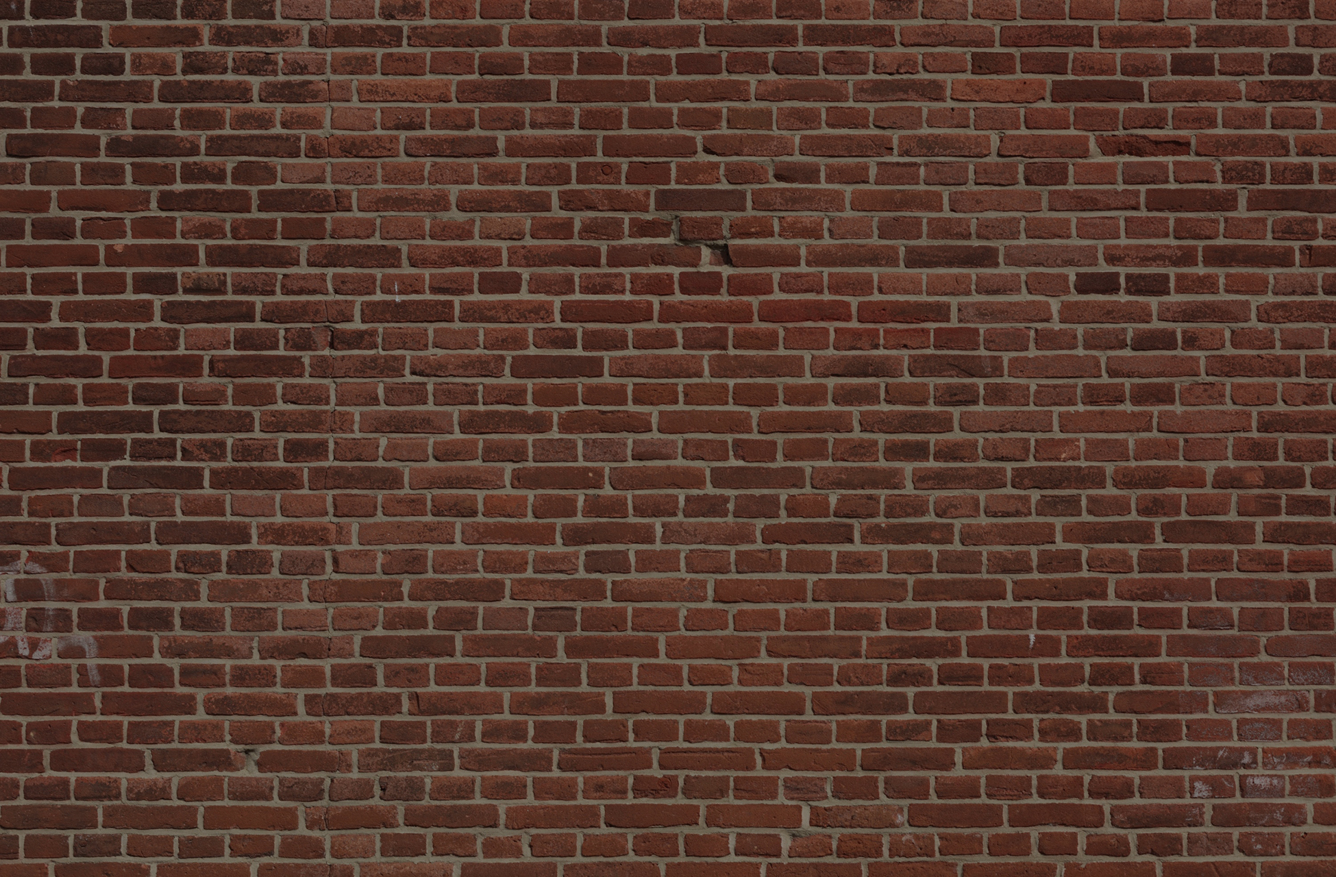 rolands-brick-wall-dark.jpg