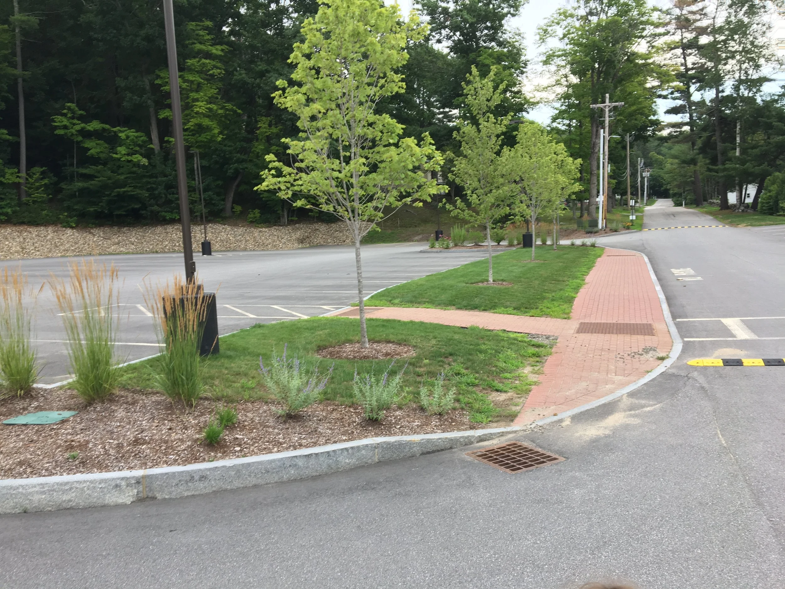 New Hampton School Parking Lot Detail