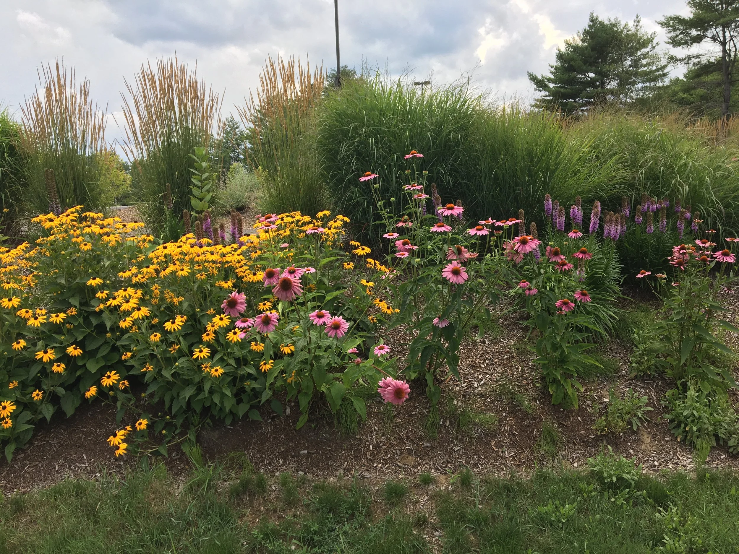 New Hampton School Perennial Garden