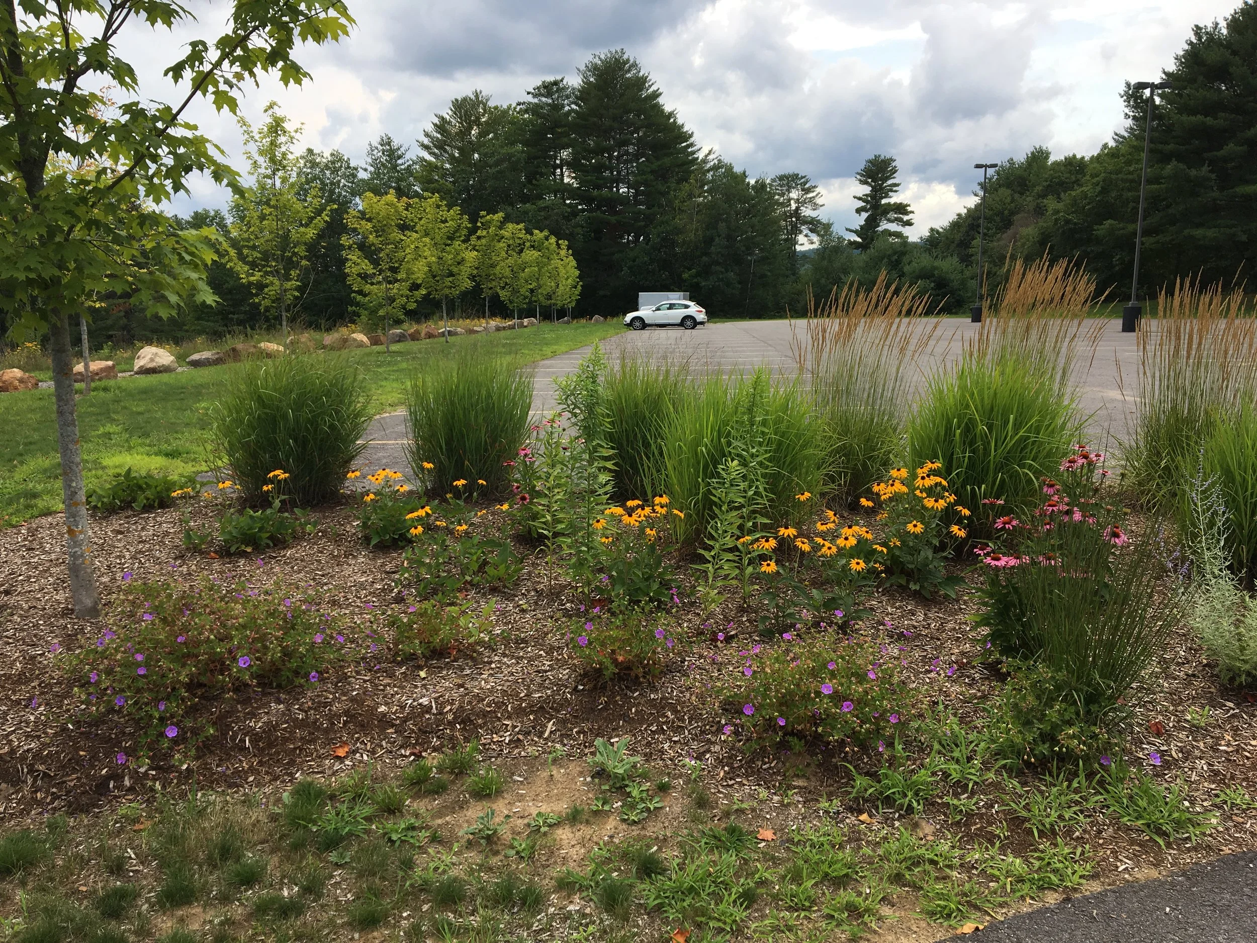 New Hampton School Parking Lot 