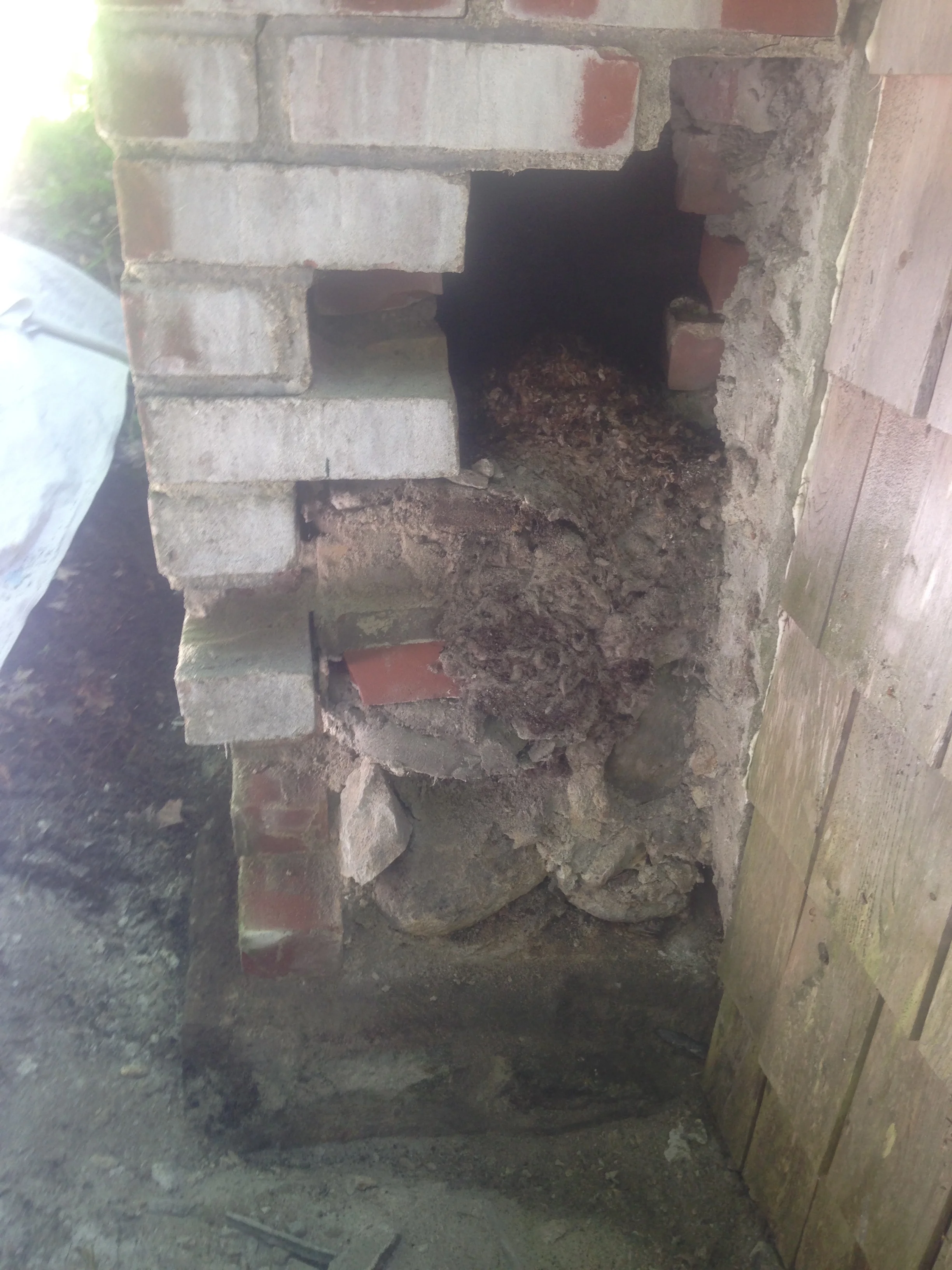 CHIMNEY REPAIR BEFORE.JPG