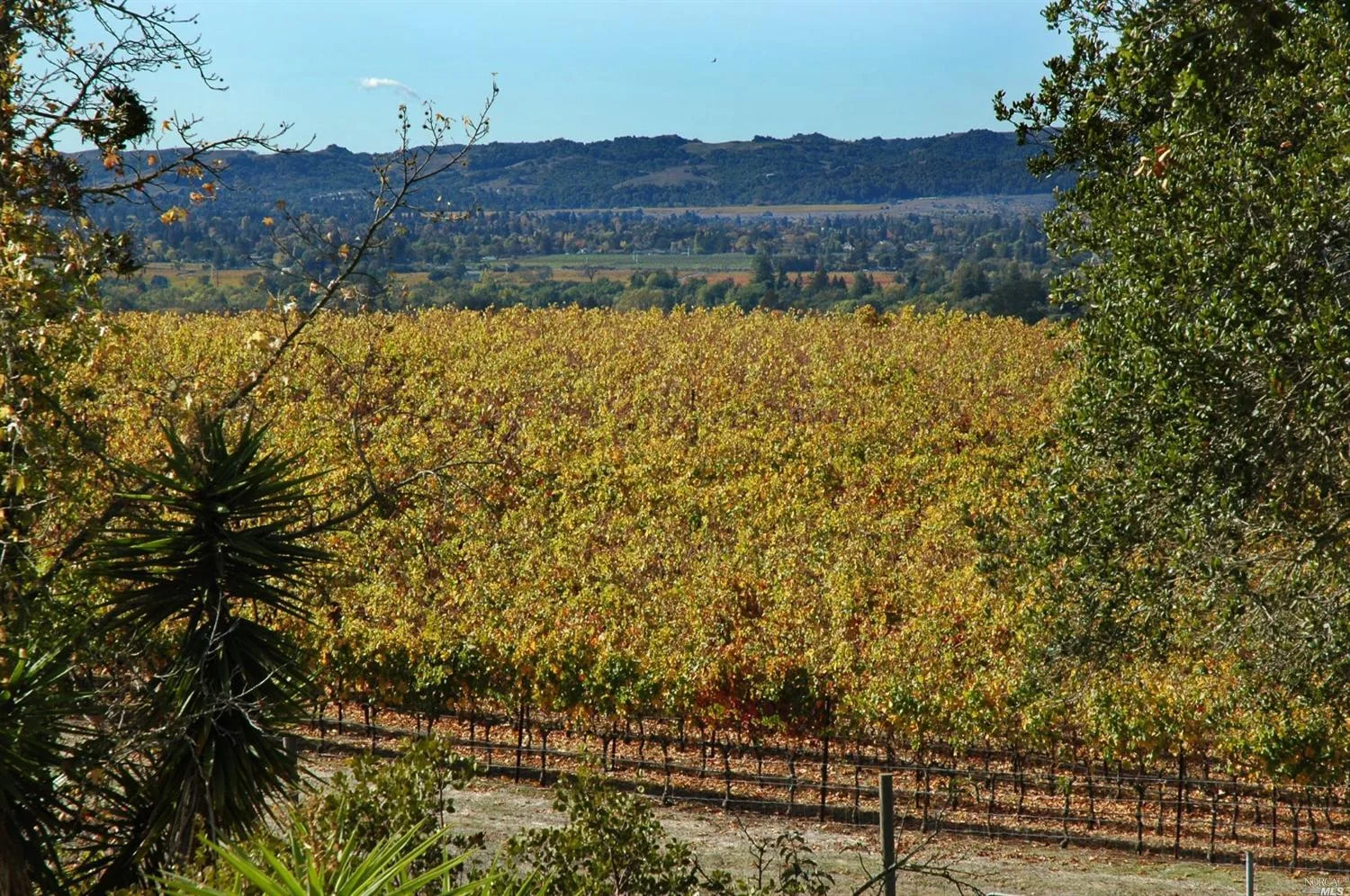 2401 Old Soda Springs, Napa - $1,750,000