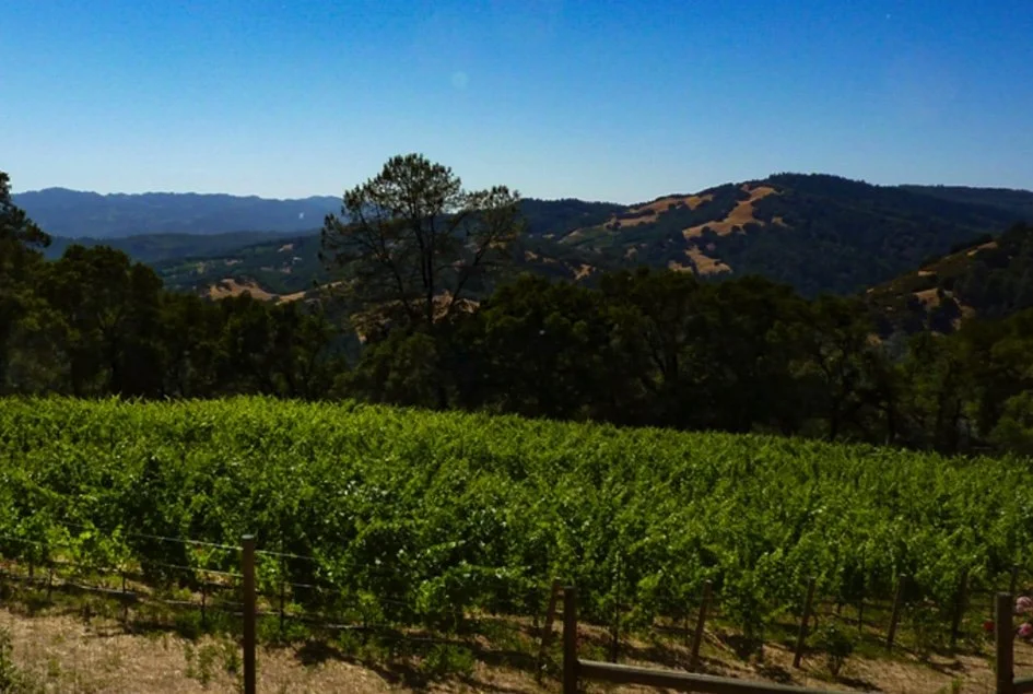 0 Stockton Ave | St. Helena | $1,800,000