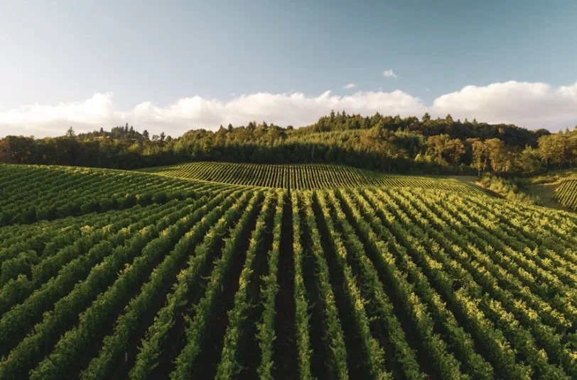  Vineyard Property | St. Helena | $6,800,000