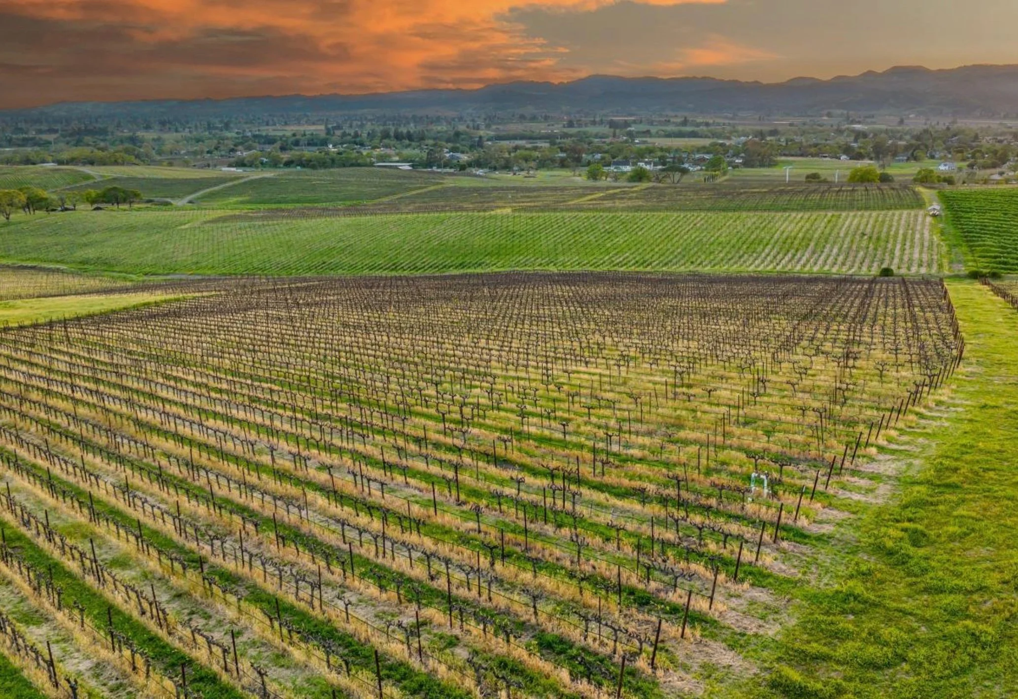 0 Atlas Peak | Napa | $5,900,000