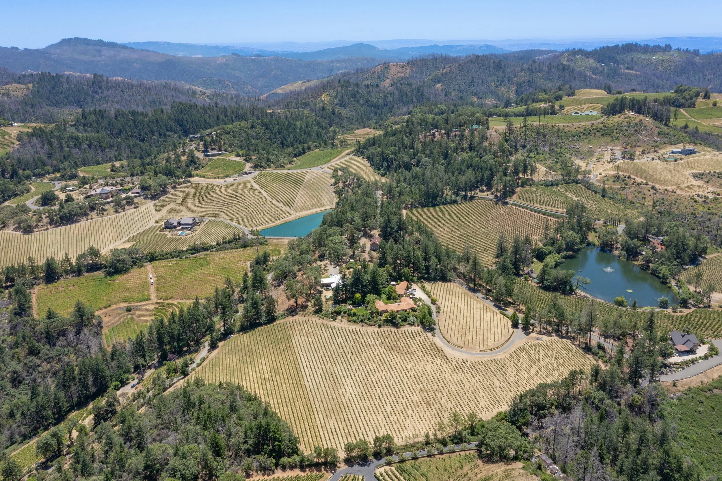 4046 Spring Mountain Rd. | St. Helena | $5,000,000