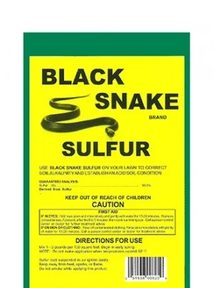 Black_Snake_Sulfur.jpg