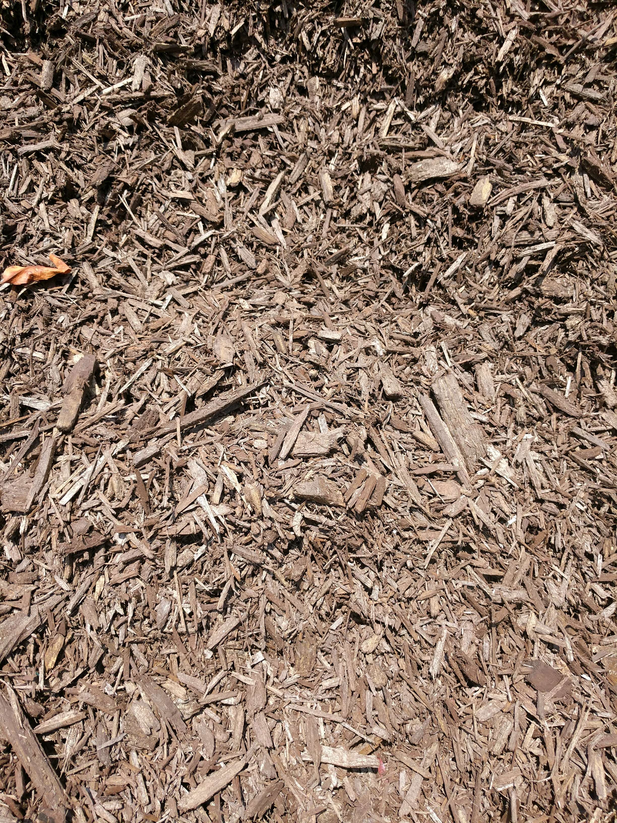 Brown Mulch (2)