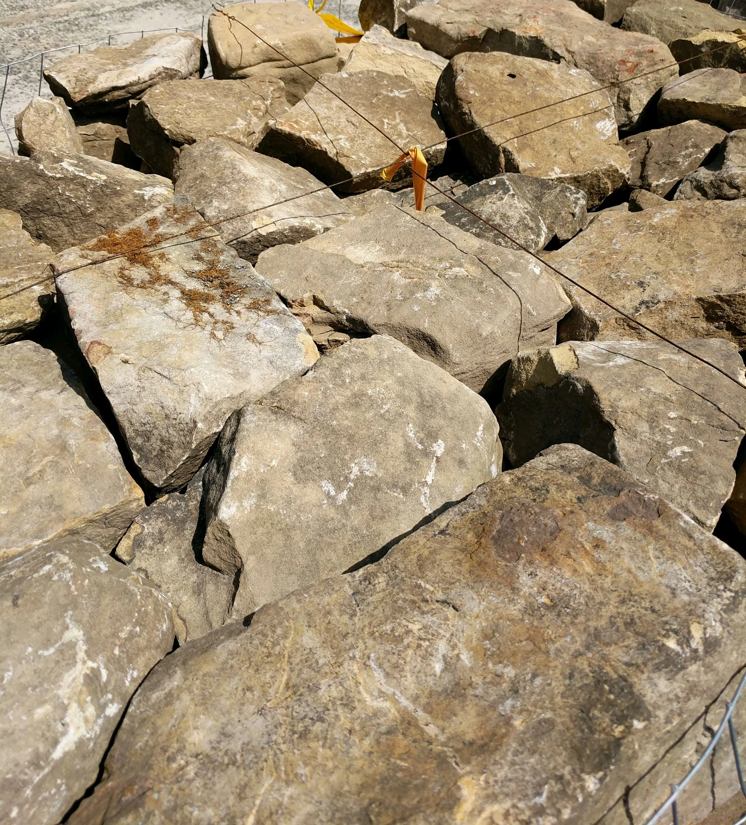 Tennessee Medium Stack