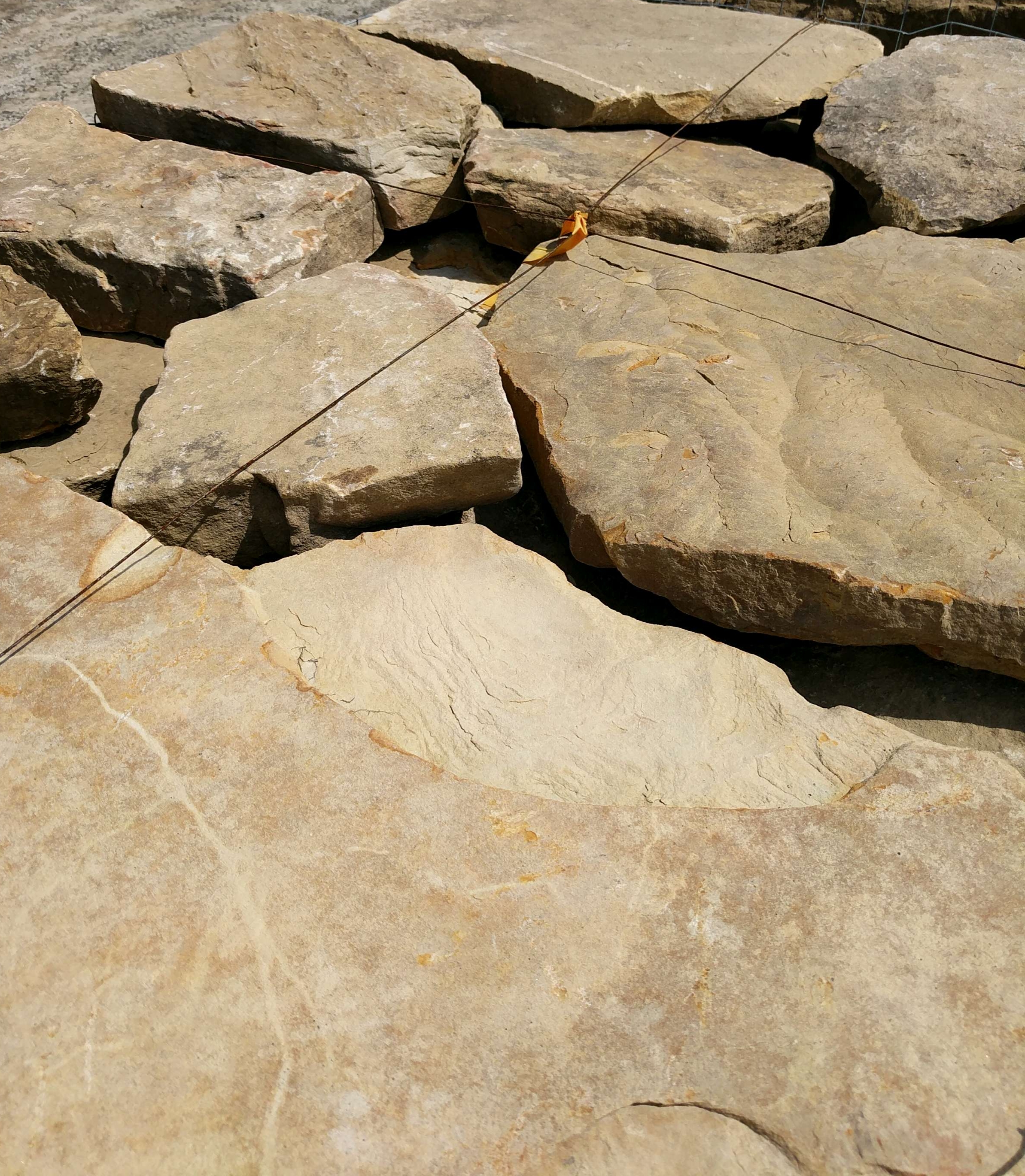 Tennessee Capstone - 2” - 3”