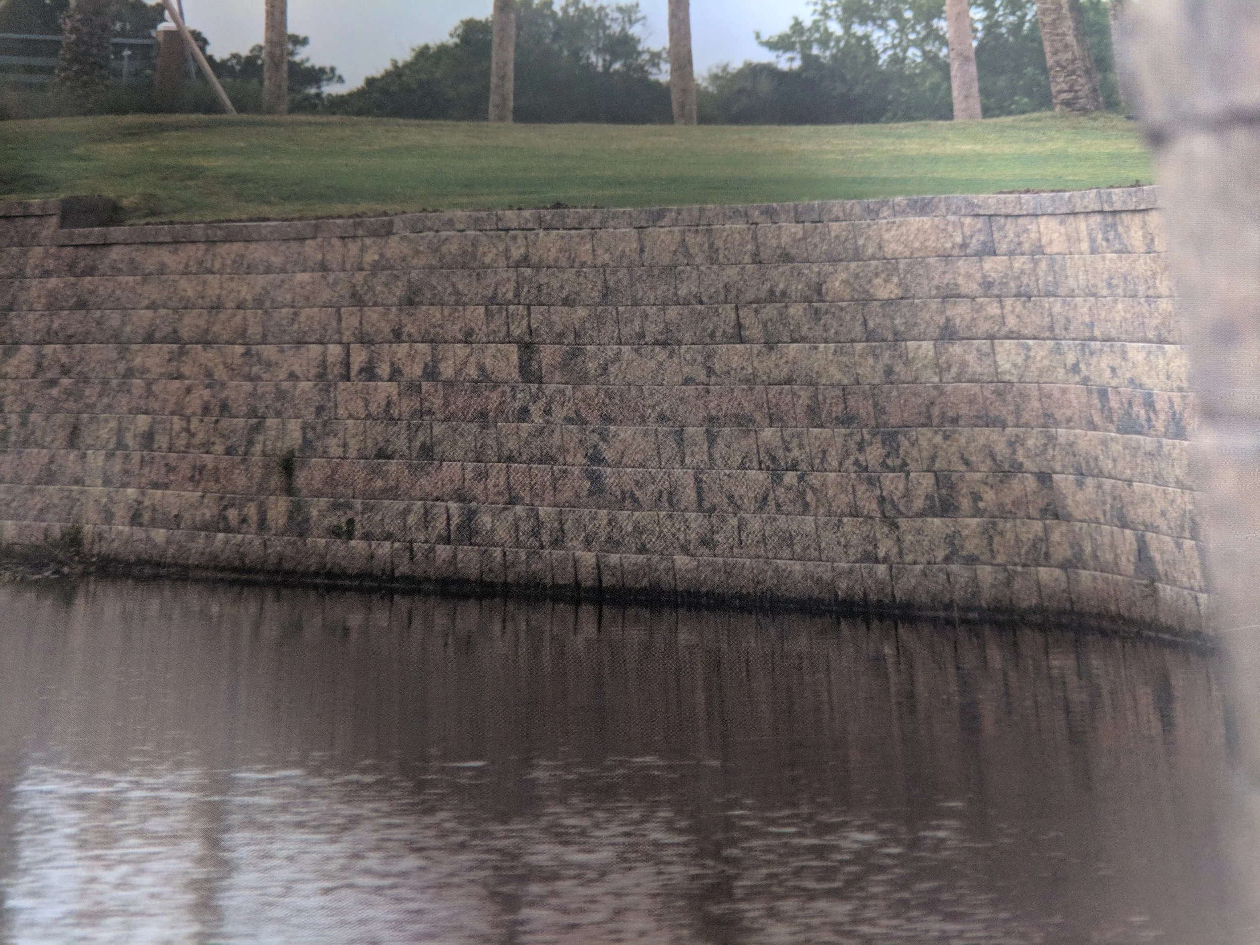 RetaniWall(1).jpg