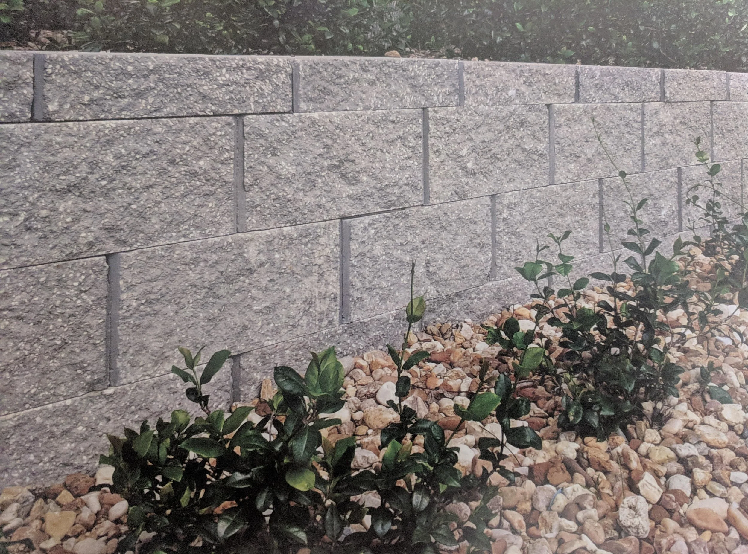 RetaniWall(2).jpg