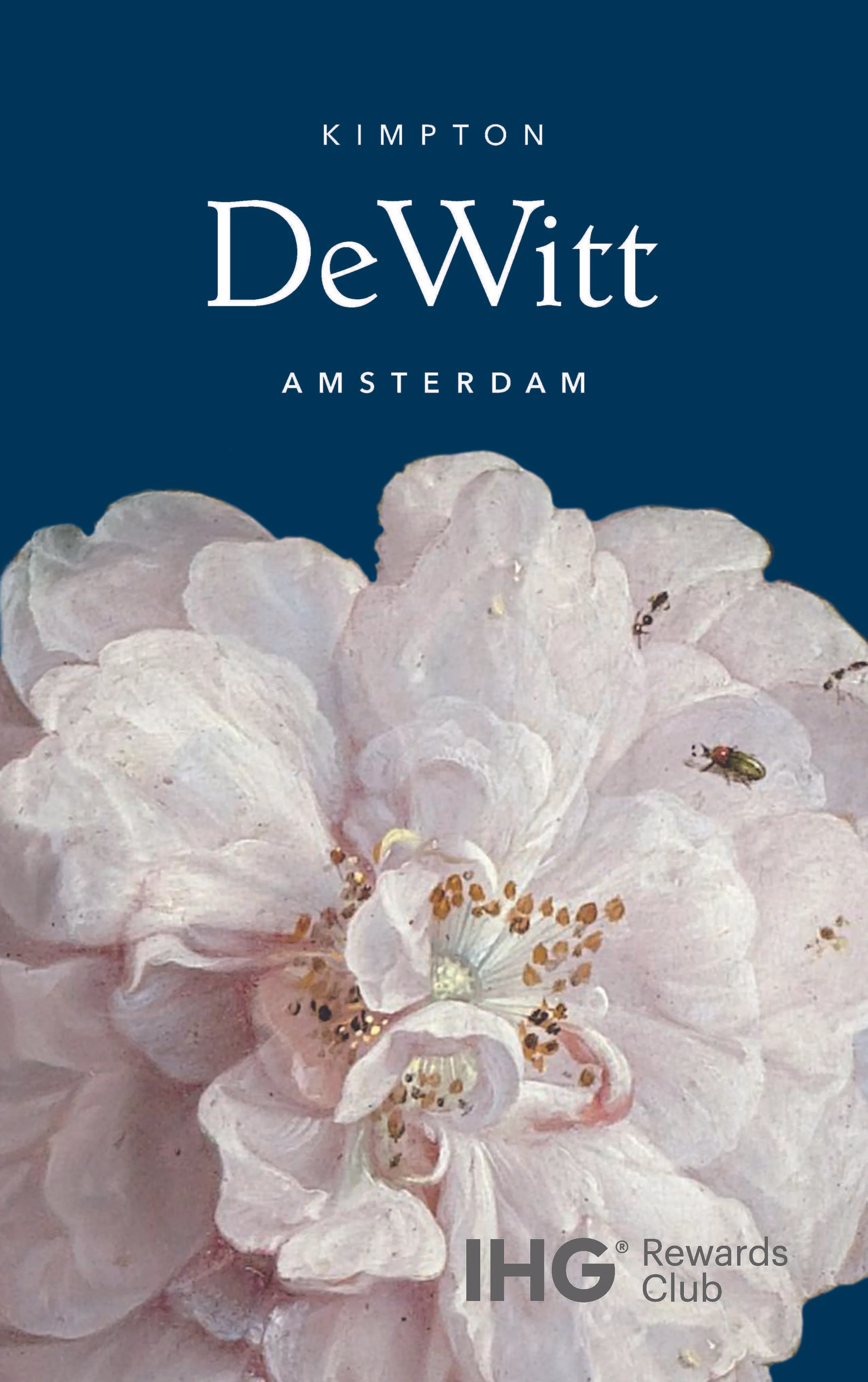 dewitt 14.jpg