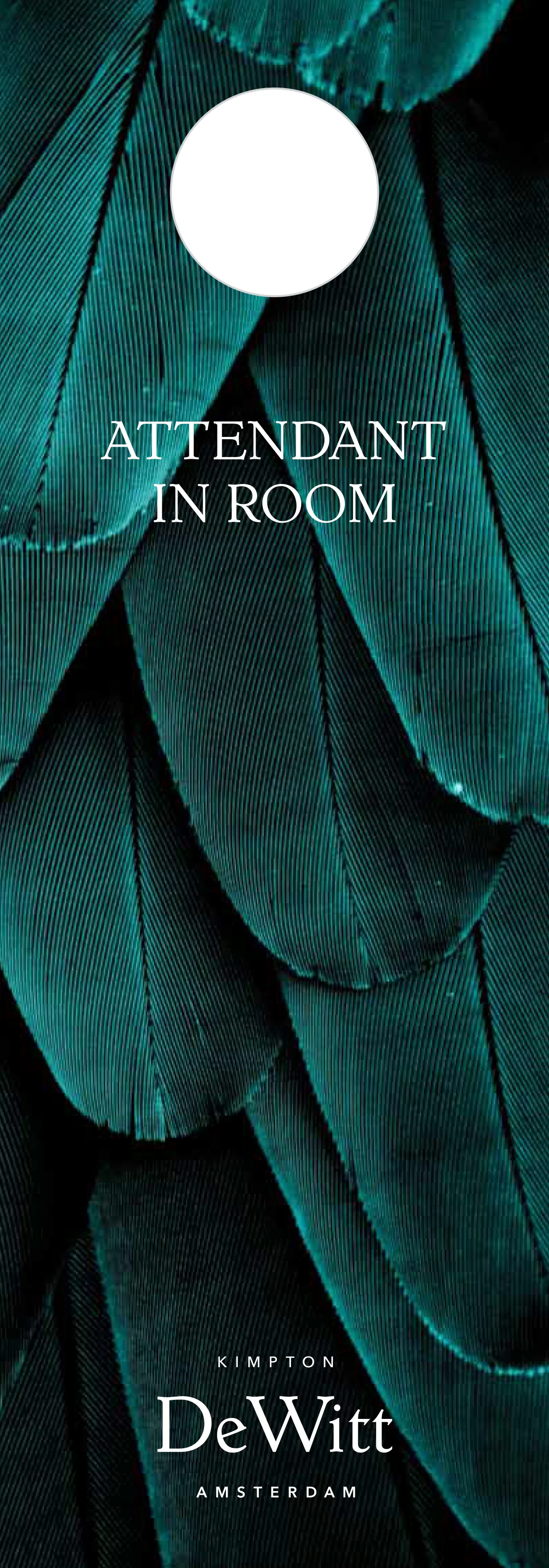 DeWitt-ATTENDANTinROOM.jpg