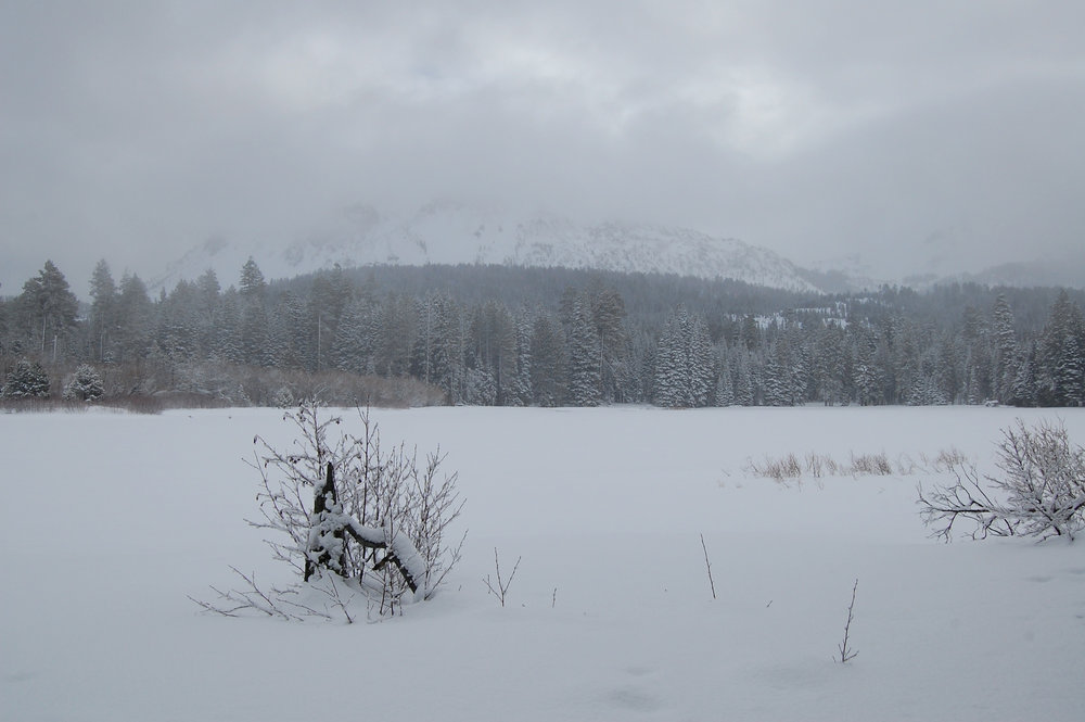 Lake-Manzanita-Mid-Winter-Lassen-Landscape-DavidWahlman.jpg