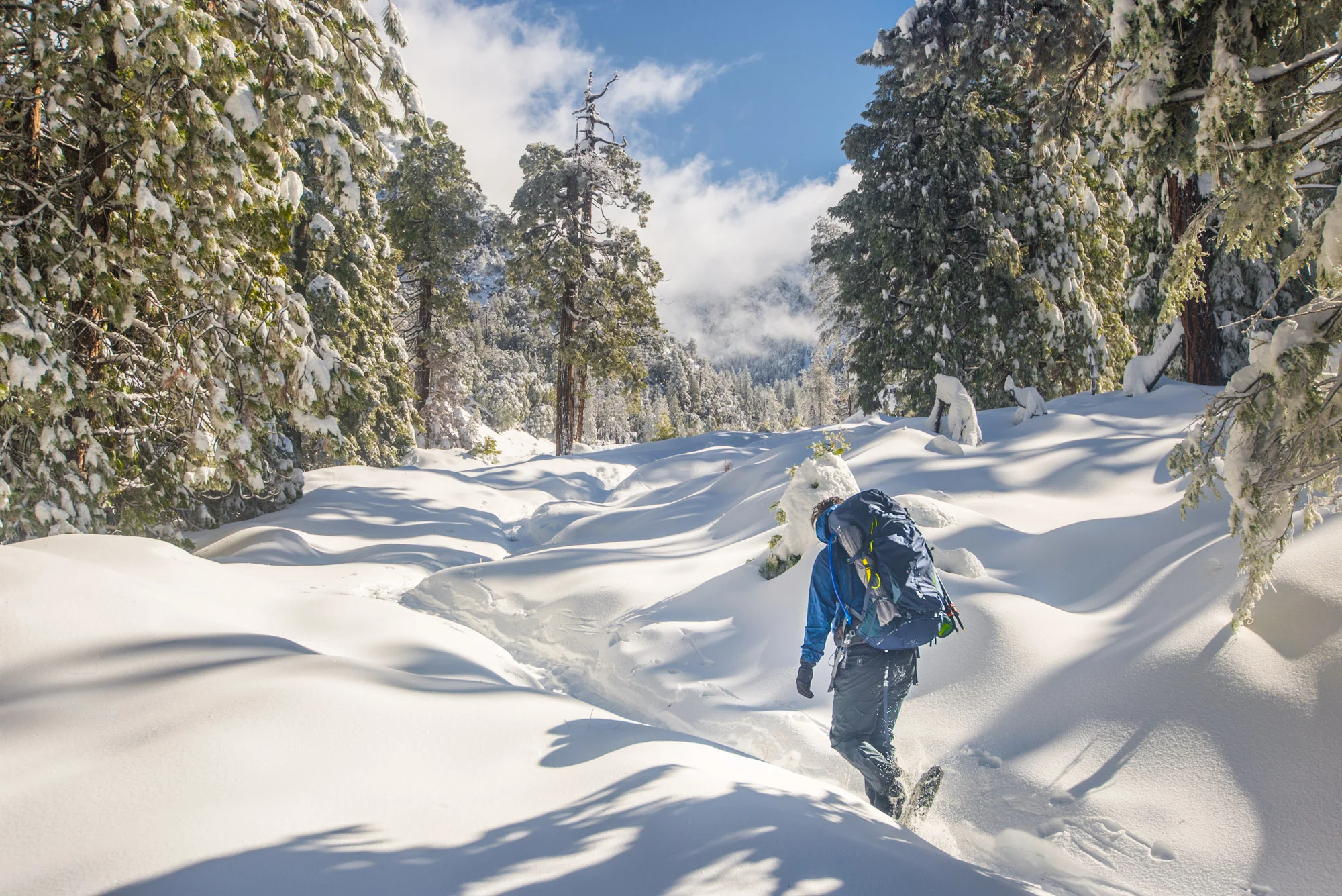 Trudging through 2' of freshly fallen snow on our way up to San Gorgonio Peak
